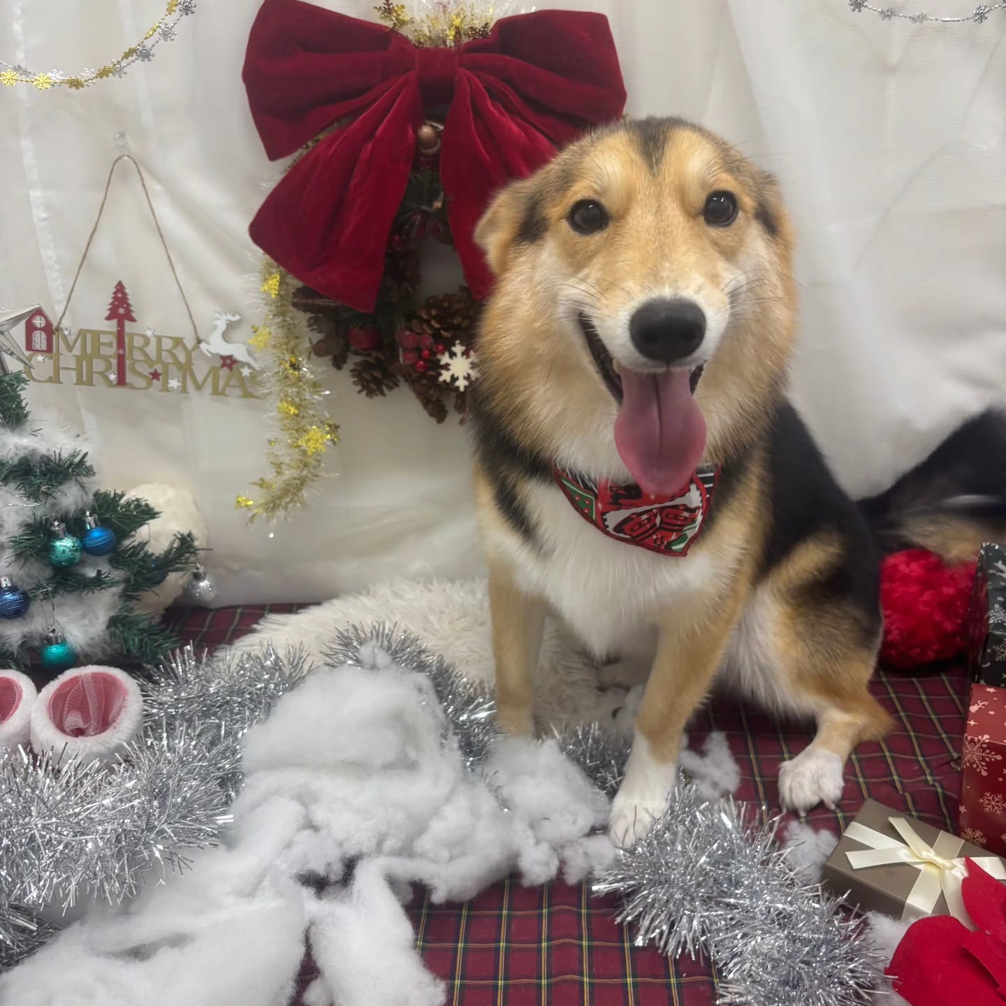 ๐๐๐๐๐๐๐๐