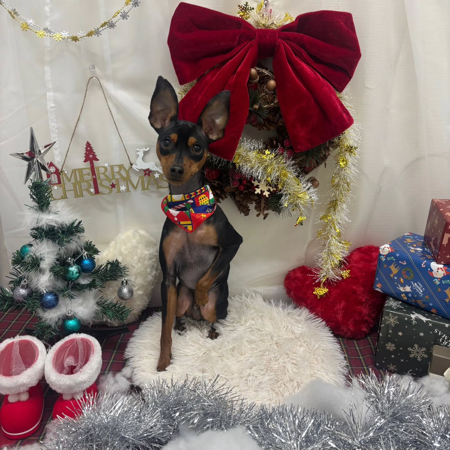 ๐๐๐๐๐๐๐๐