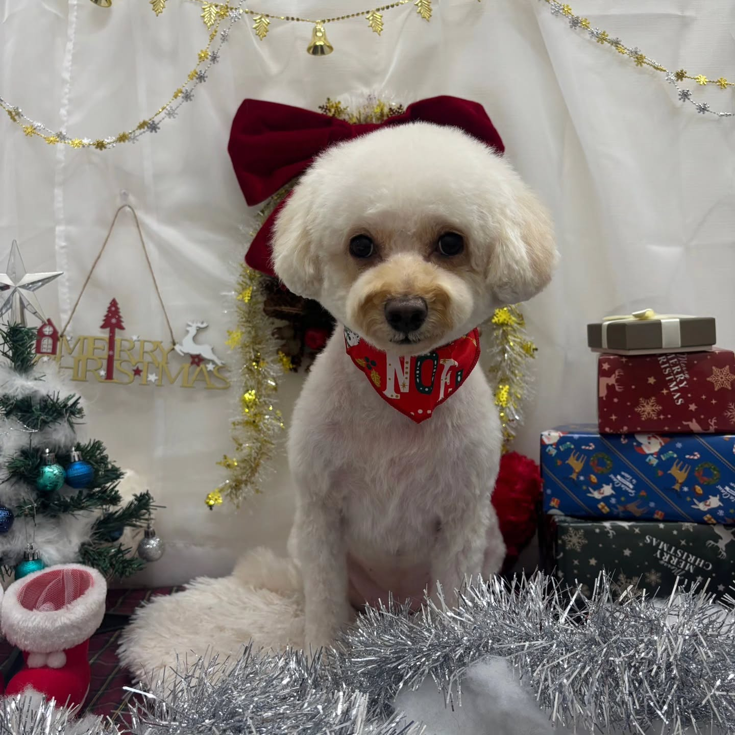 ๐๐๐๐๐๐๐๐