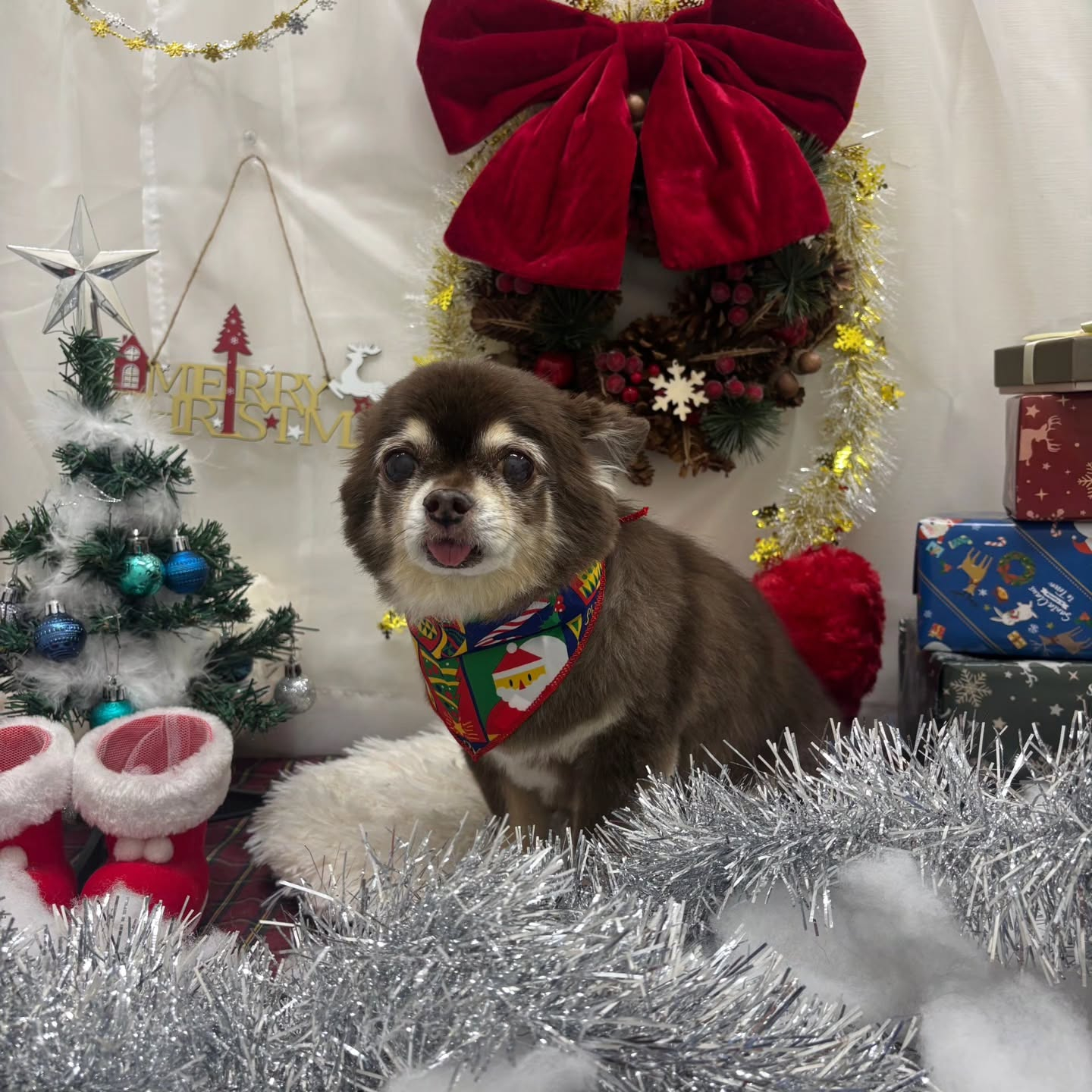 ๐๐๐๐๐๐๐๐