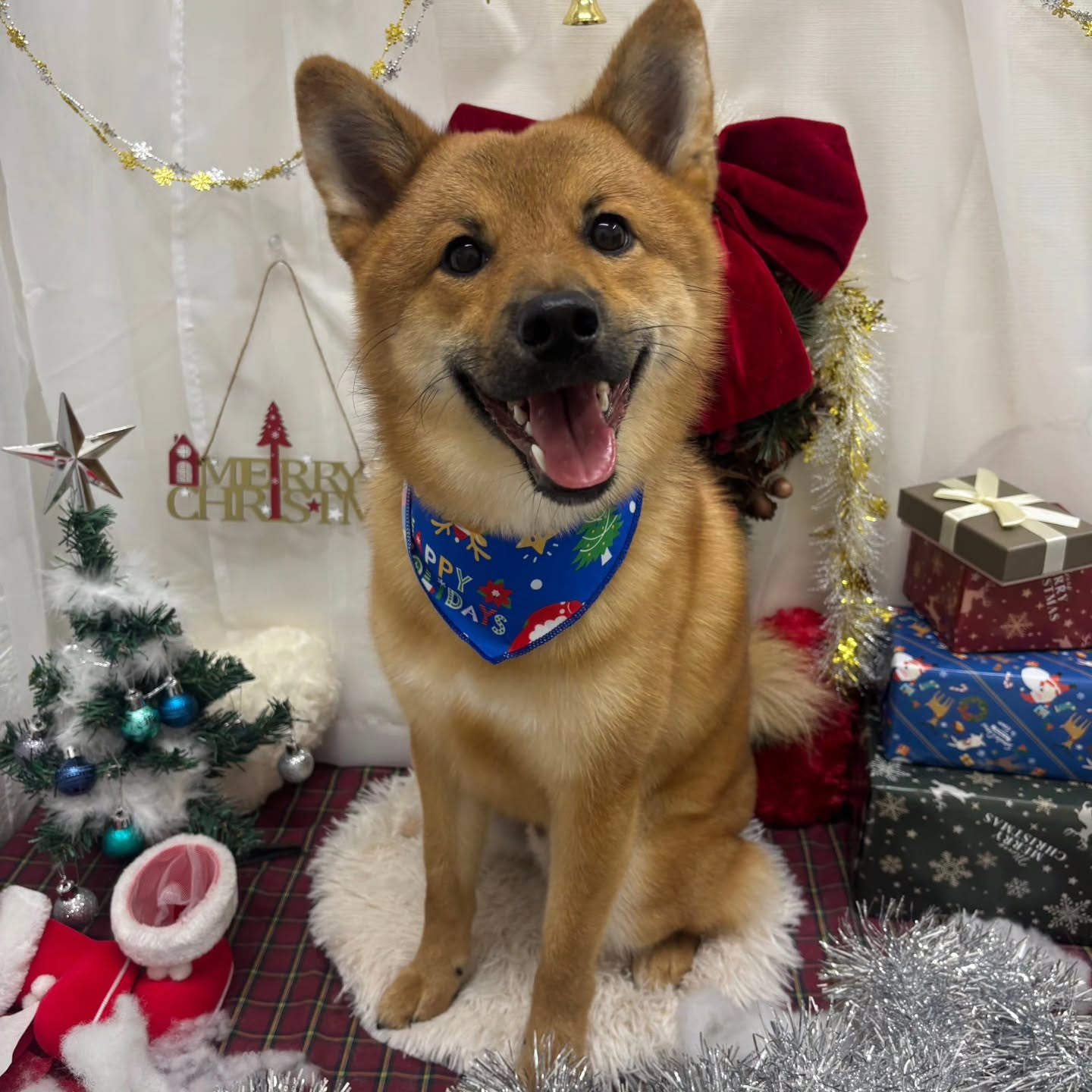 ๐๐๐๐๐๐๐๐