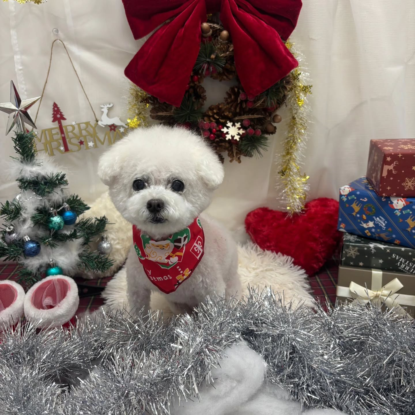 ๐๐๐๐๐๐๐๐