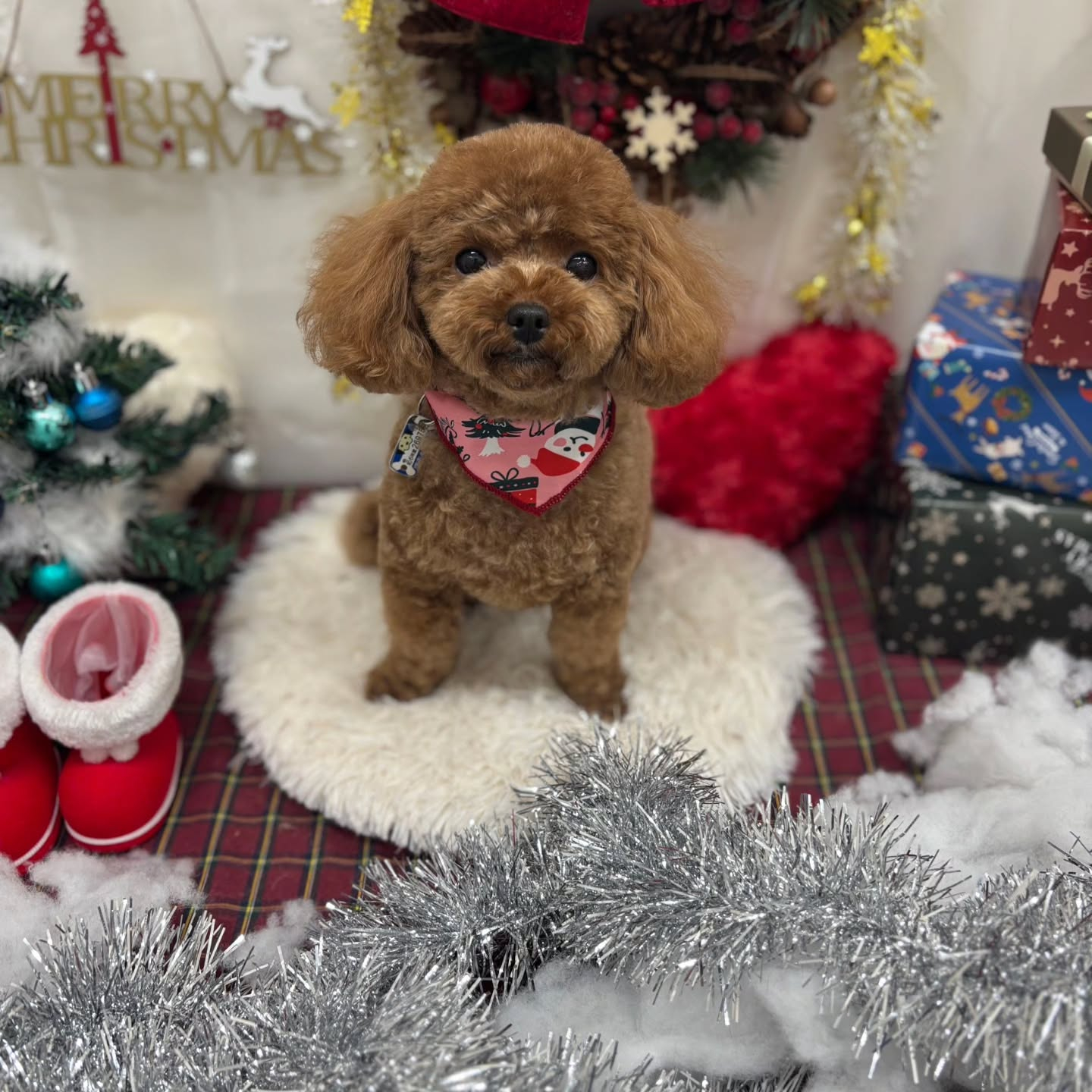 ๐๐๐๐๐๐๐๐