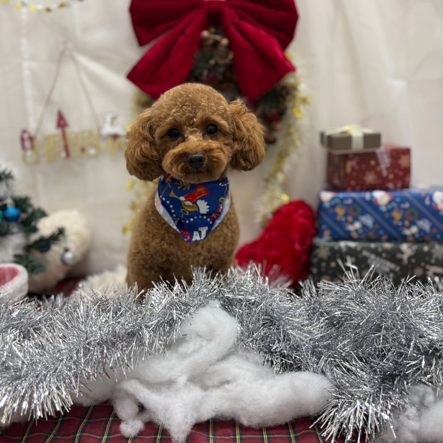 ๐๐๐๐๐๐๐๐