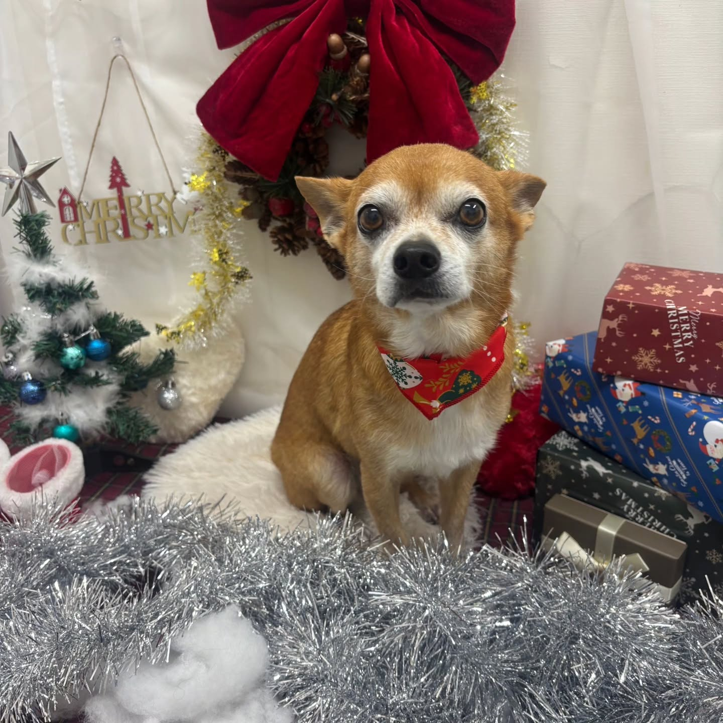 ๐๐๐๐๐๐๐๐