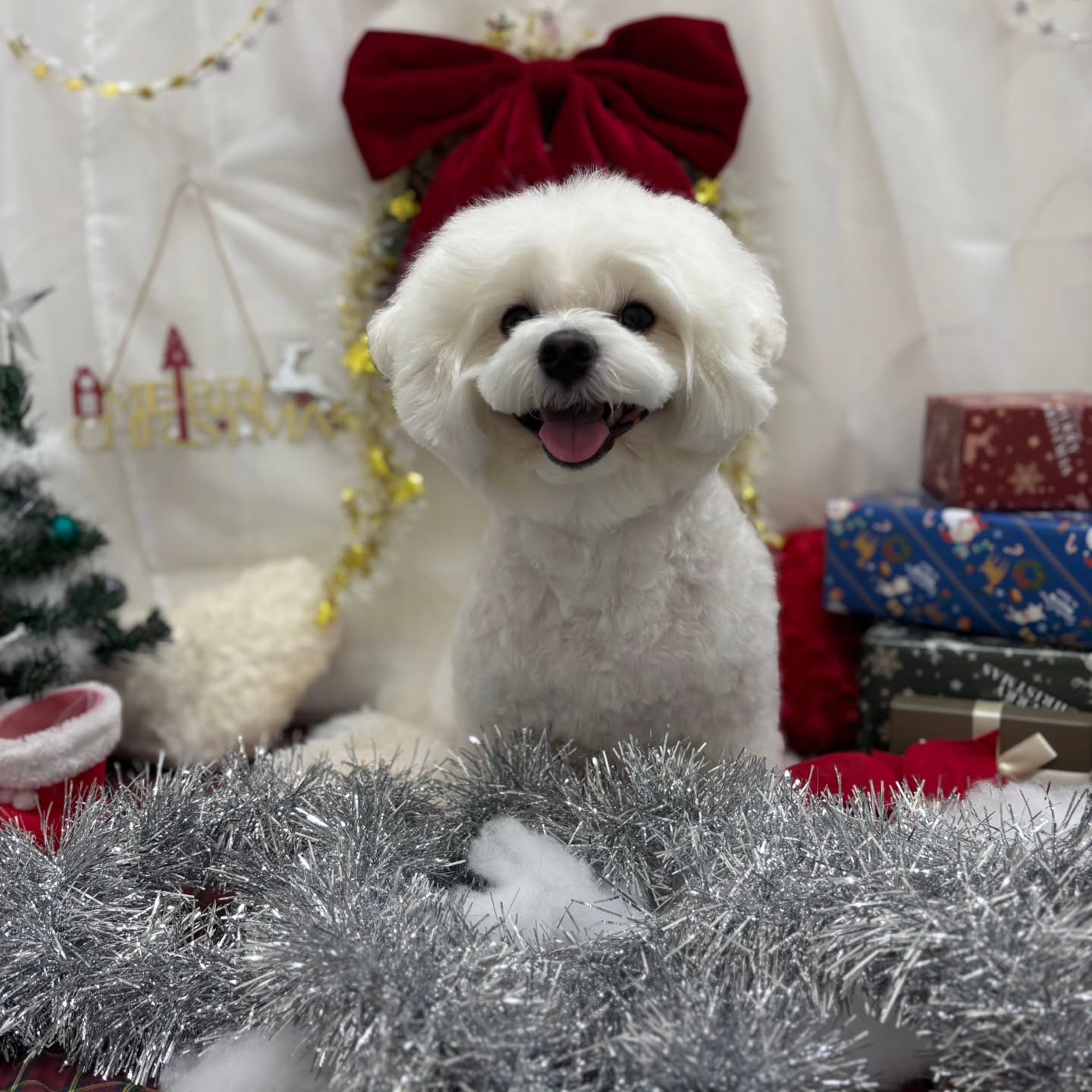 🎀🎀🎀🎀🎀🎀🎀