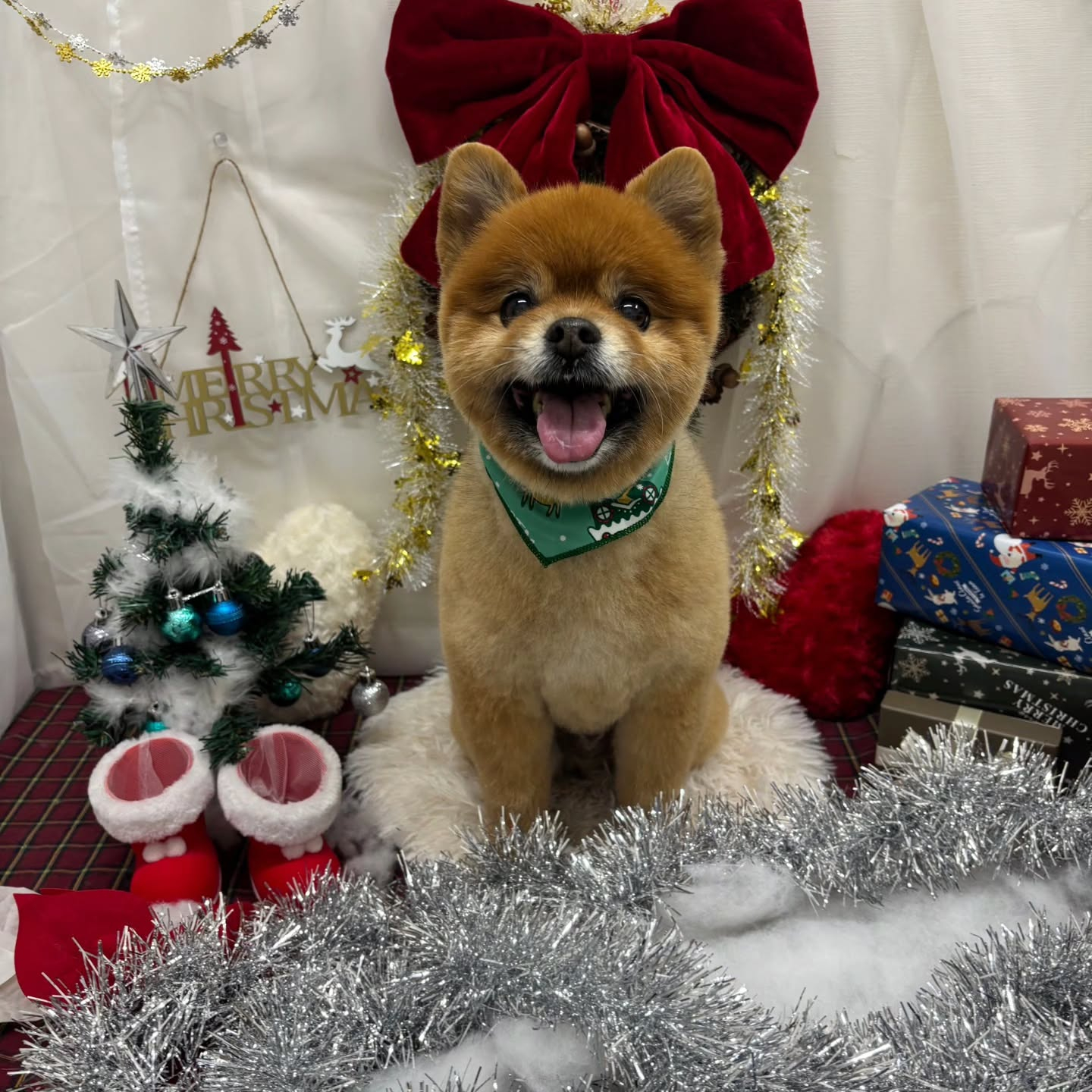 🎀🎀🎀🎀🎀🎀🎀