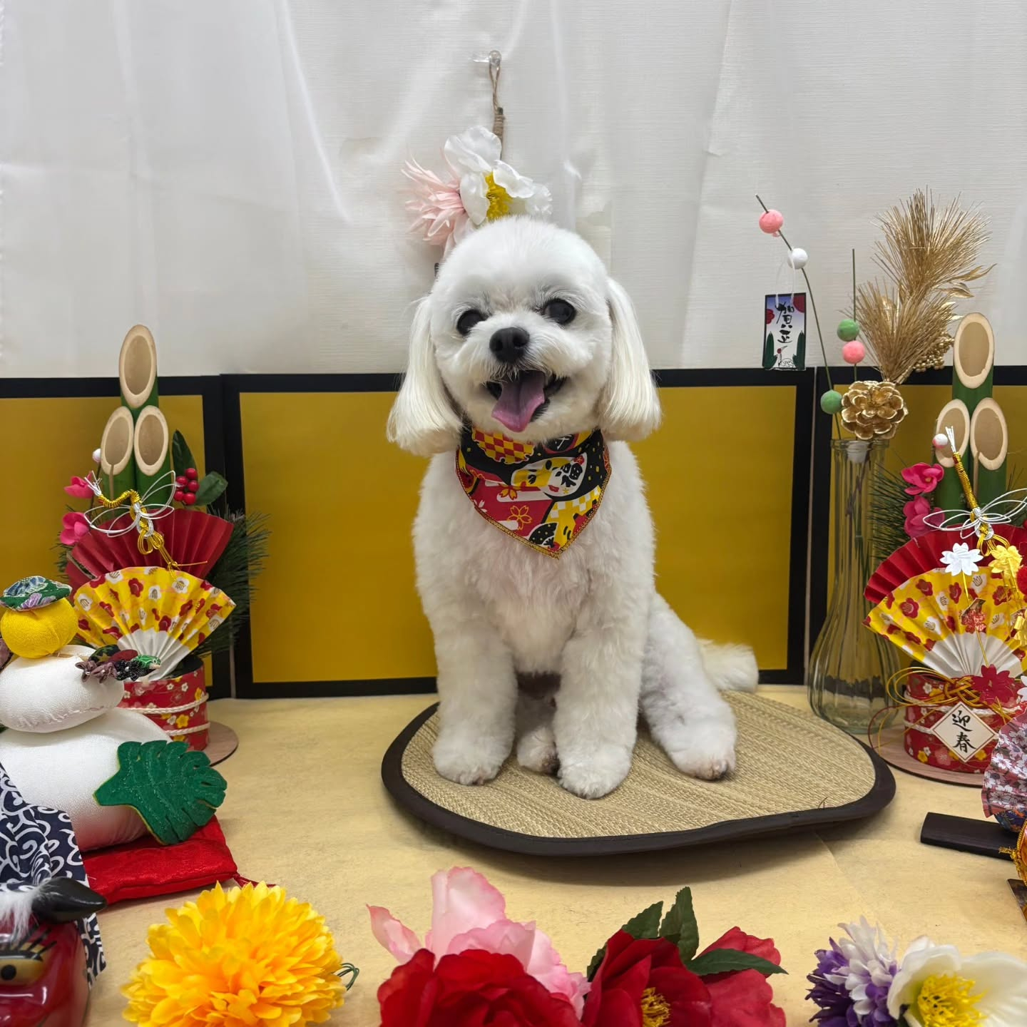 ๐ดใใใพใใฆใใใงใจใใใใใพใ๐ด