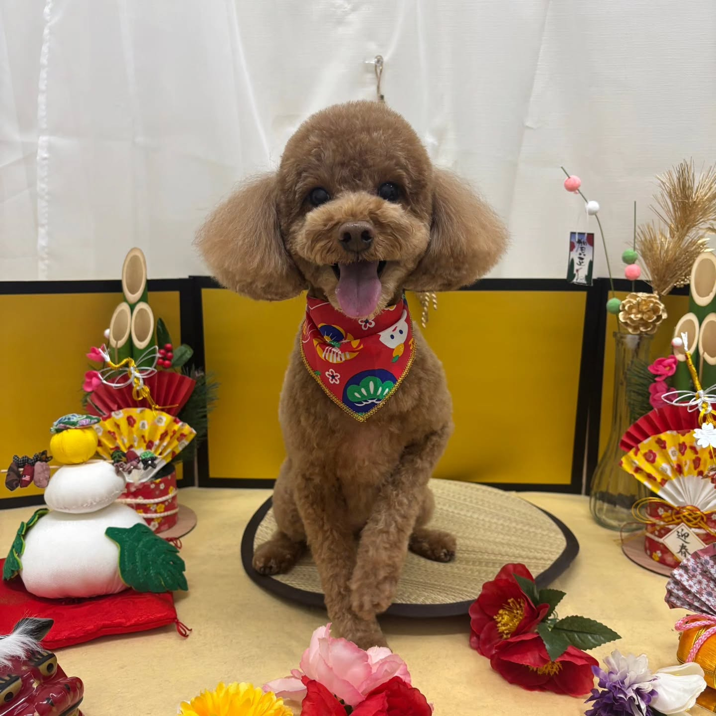 ๐ดใใใพใใฆใใใงใจใใใใใพใ๐ด