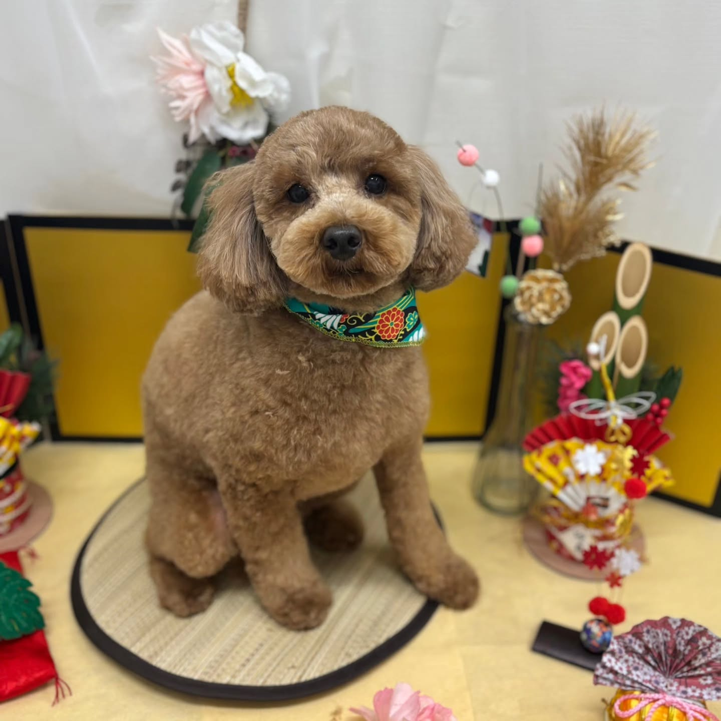 ๐ดใใใพใใฆใใใงใจใใใใใพใ๐ด