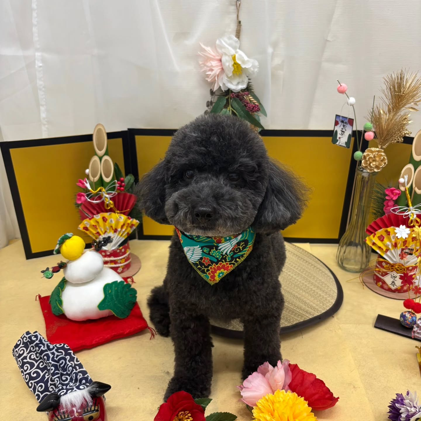 ๐ดใใใพใใฆใใใงใจใใใใใพใ๐ด