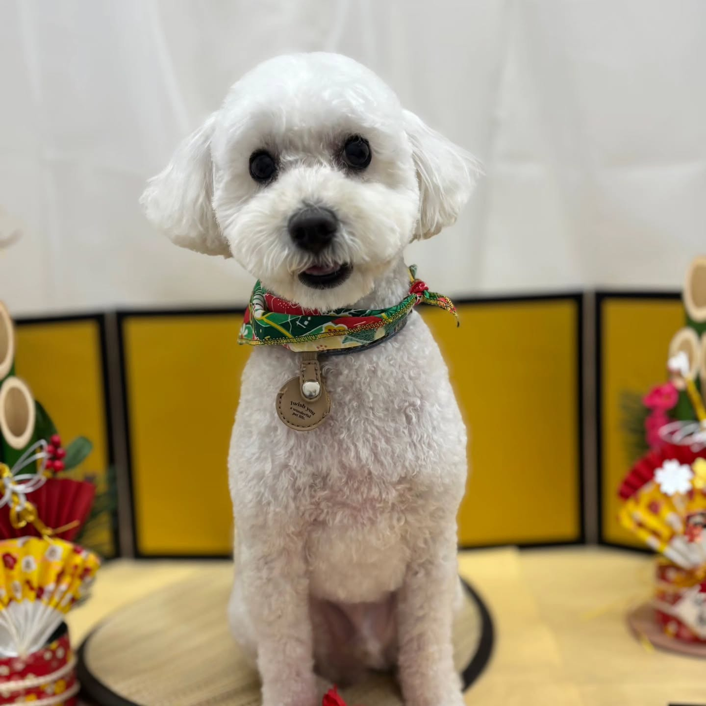 ๐ดใใใพใใฆใใใงใจใใใใใพใ๐ด