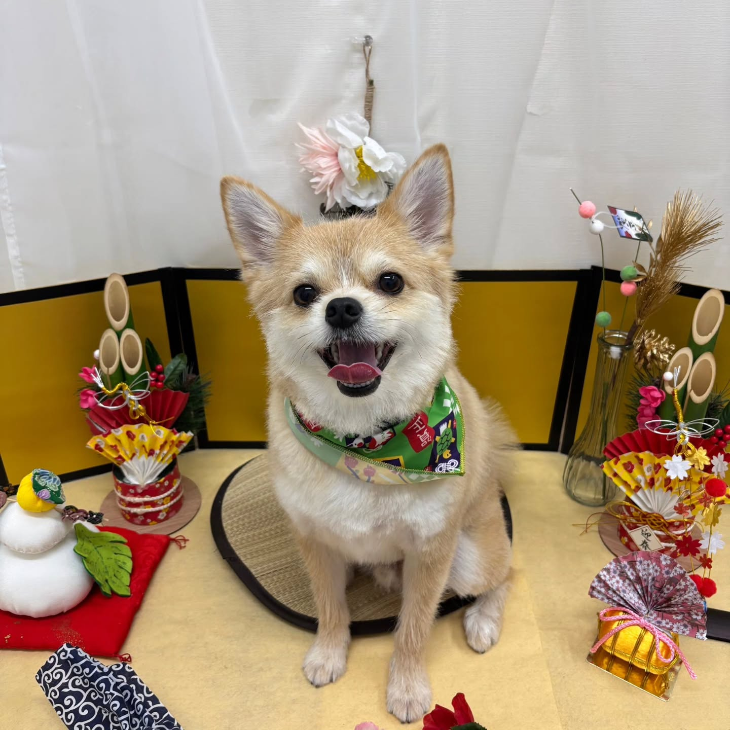 🐴🐴🐴🐴🐴🐴🐴🐴🐴🐴🐴🐴🐴