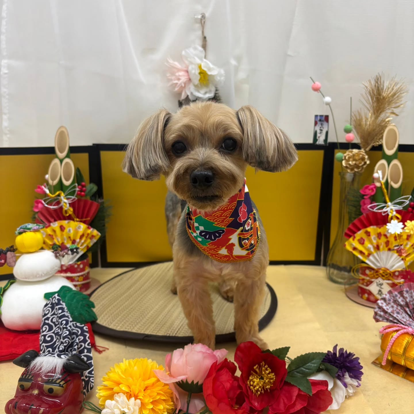 ๐ด๐ด๐ด๐ด๐ด๐ด๐ด๐ด๐ด๐ด๐ด๐ด๐ด