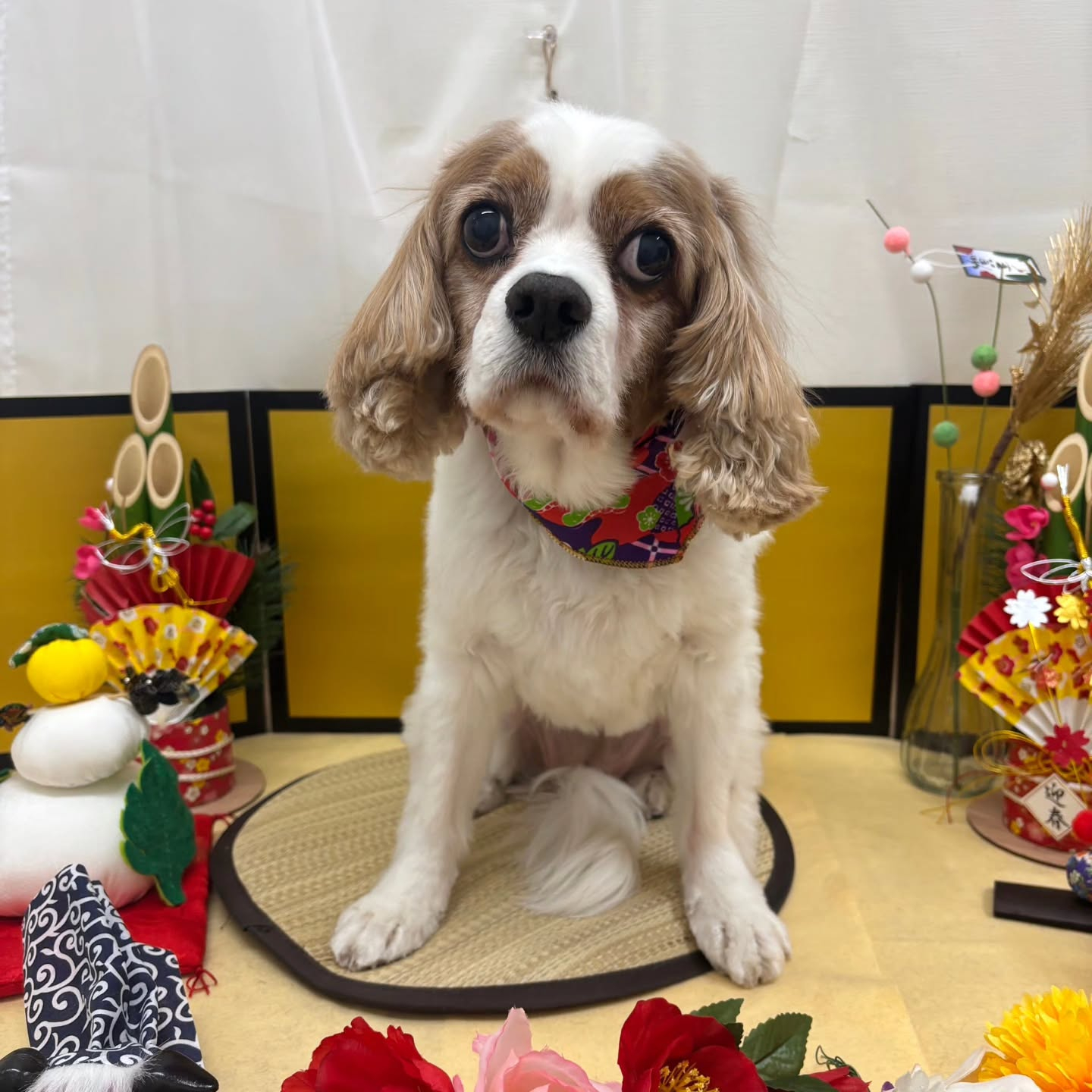 ๐ด๐ด๐ด๐ด๐ด๐ด๐ด๐ด๐ด๐ด๐ด๐ด๐ด