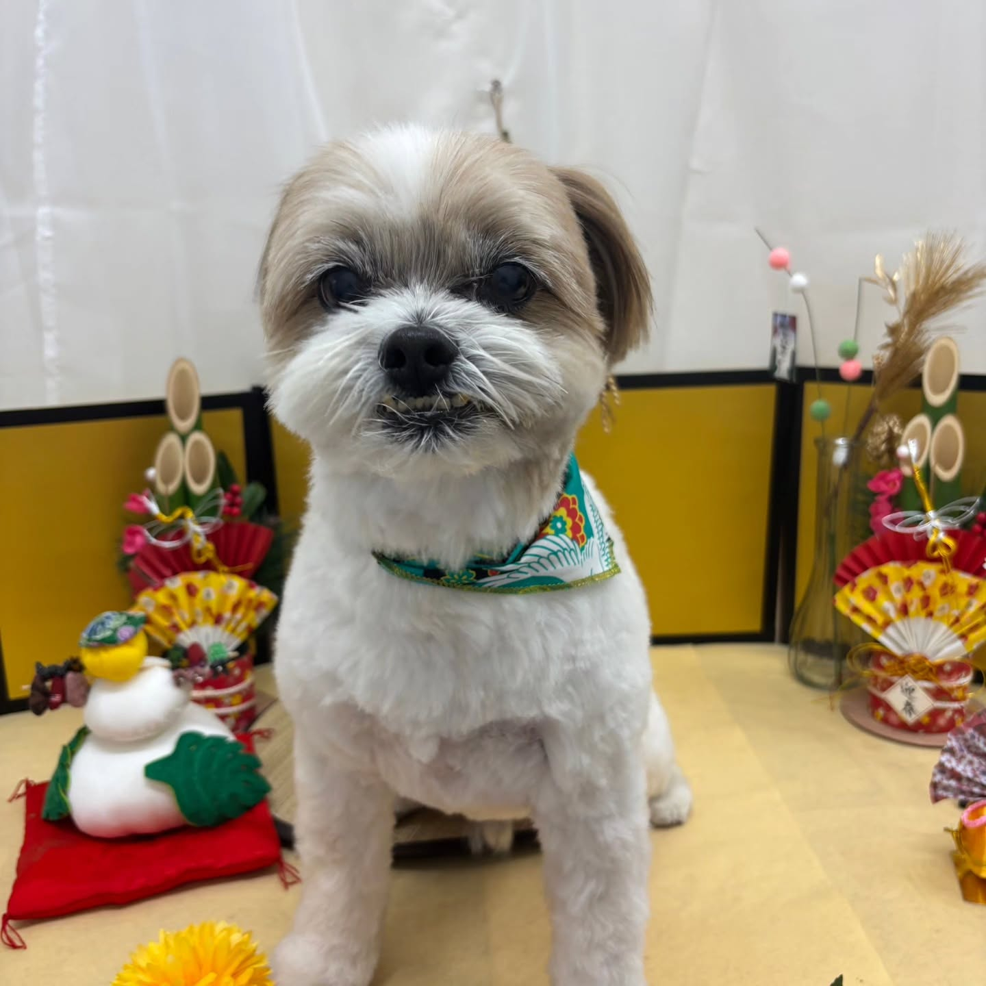 ๐ด๐ด๐ด๐ด๐ด๐ด๐ด๐ด๐ด๐ด๐ด๐ด๐ด