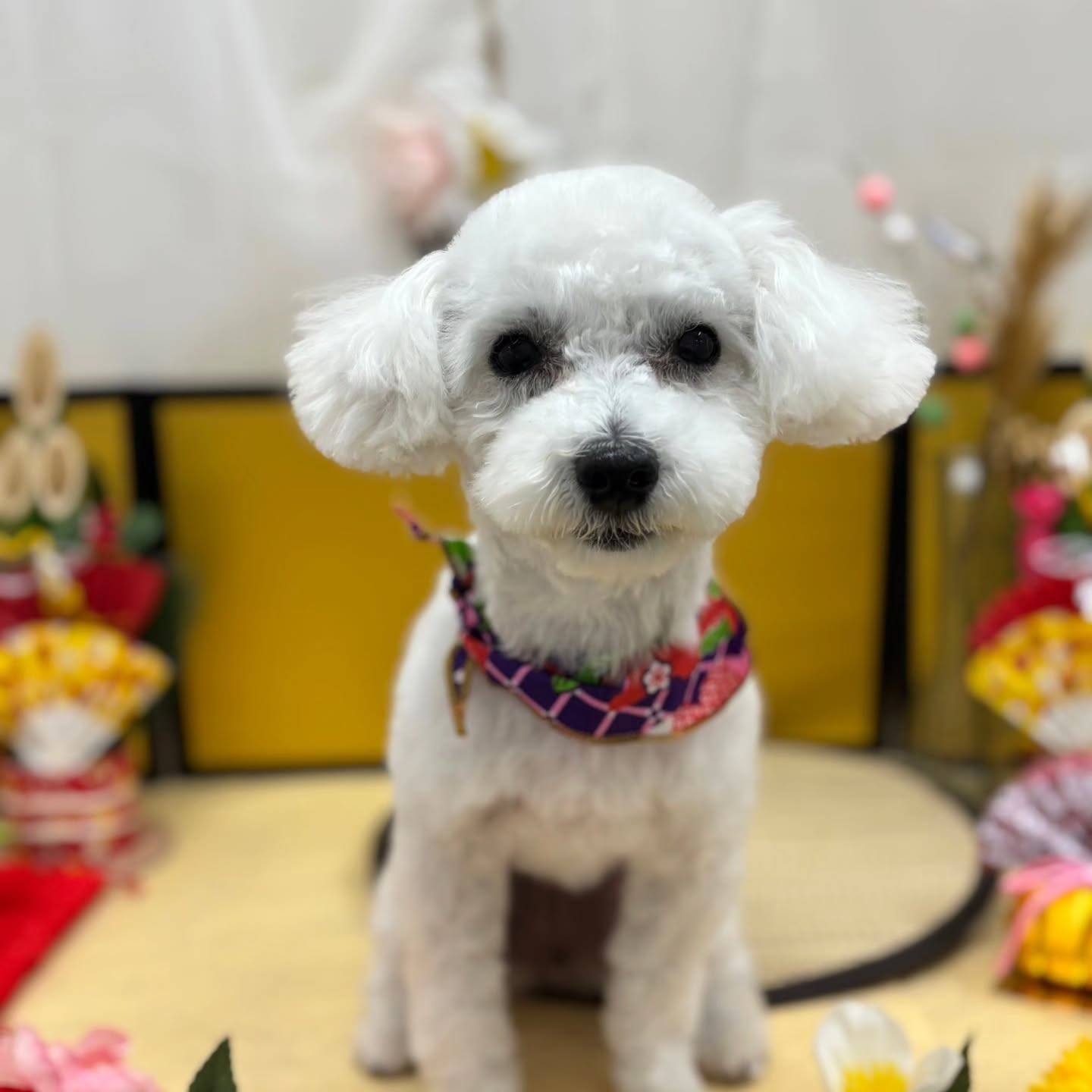 ๐ด๐ด๐ด๐ด๐ด๐ด๐ด๐ด๐ด๐ด๐ด๐ด๐ด