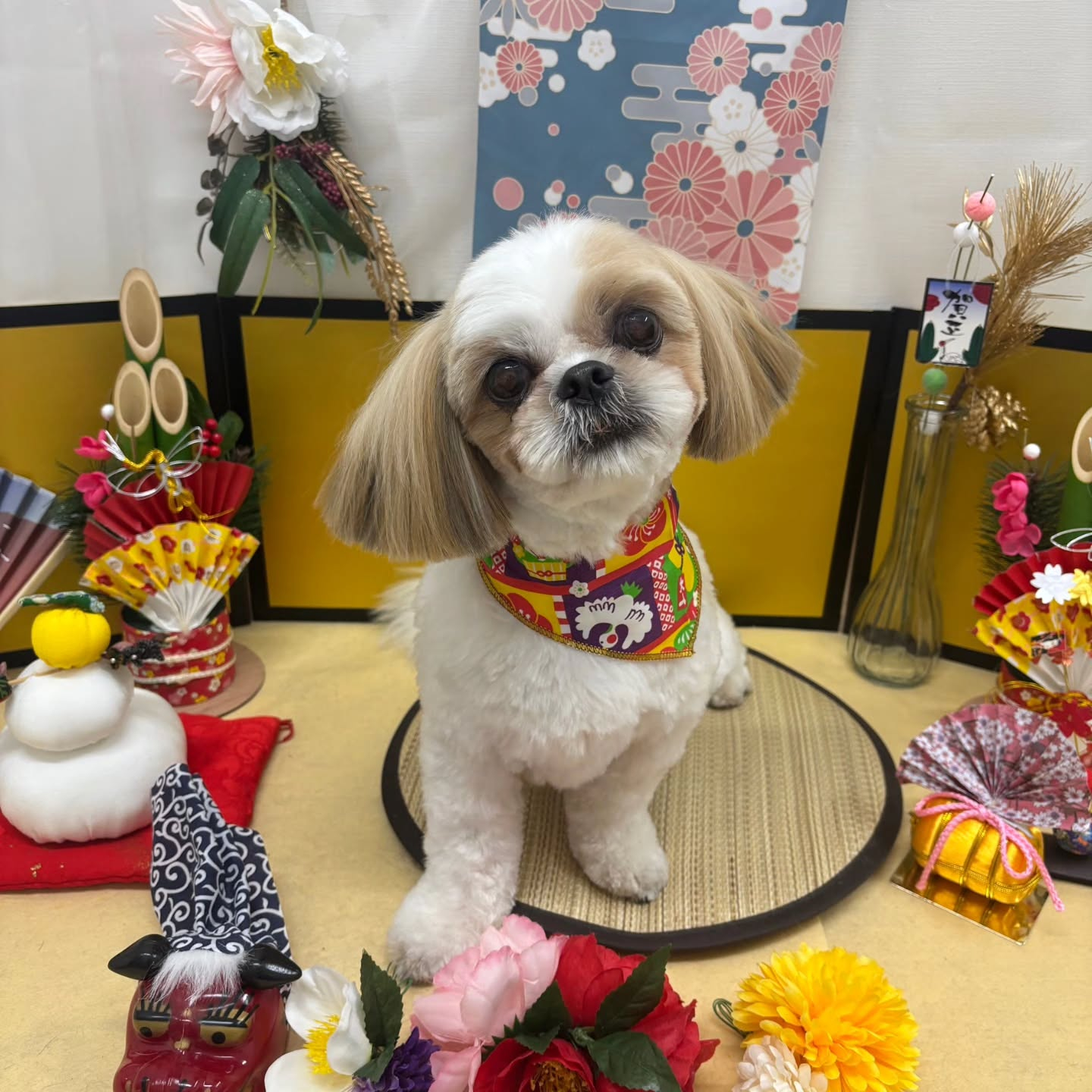 🐴🐴🐴🐴🐴🐴🐴🐴🐴🐴🐴🐴