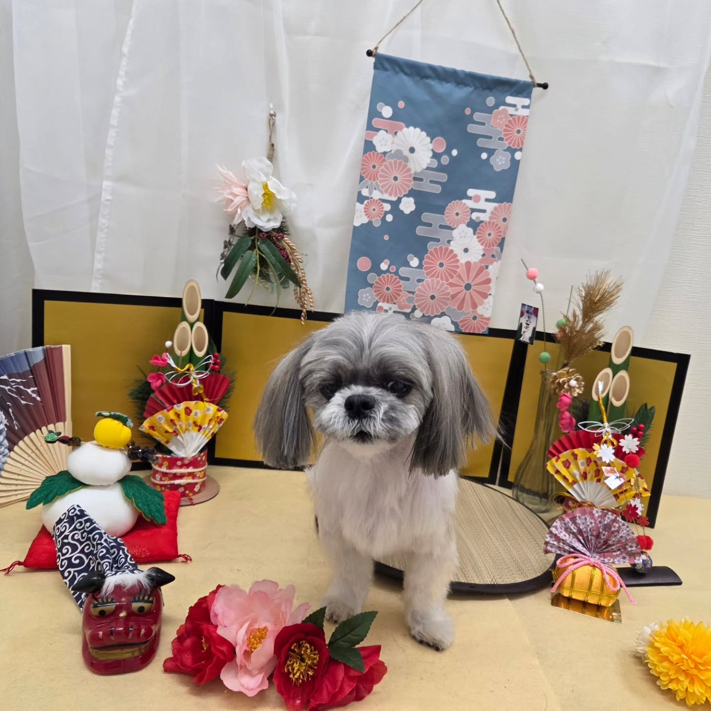 🐴🐴🐴🐴🐴🐴🐴🐴🐴🐴🐴🐴