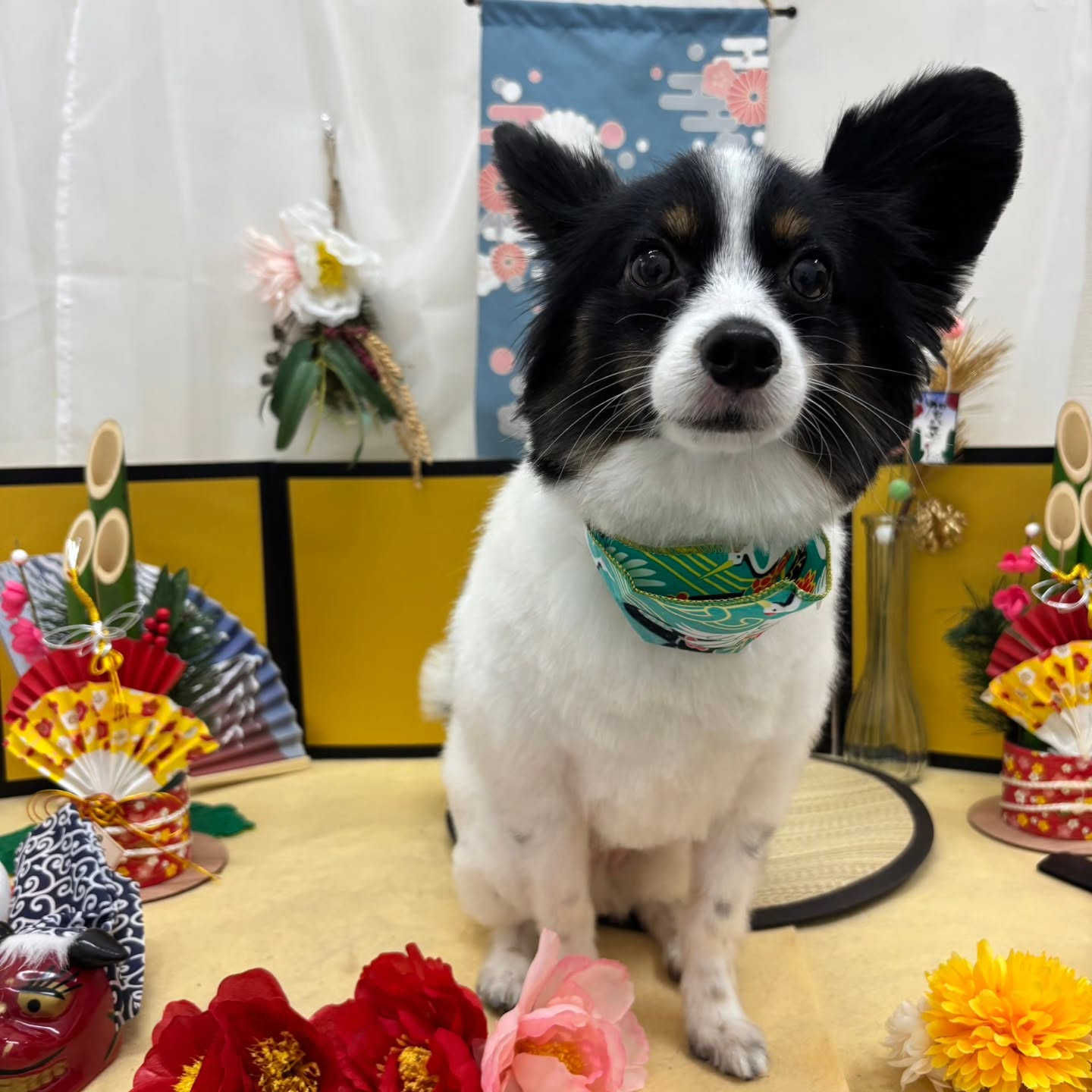 🐴🐴🐴🐴🐴🐴🐴🐴🐴