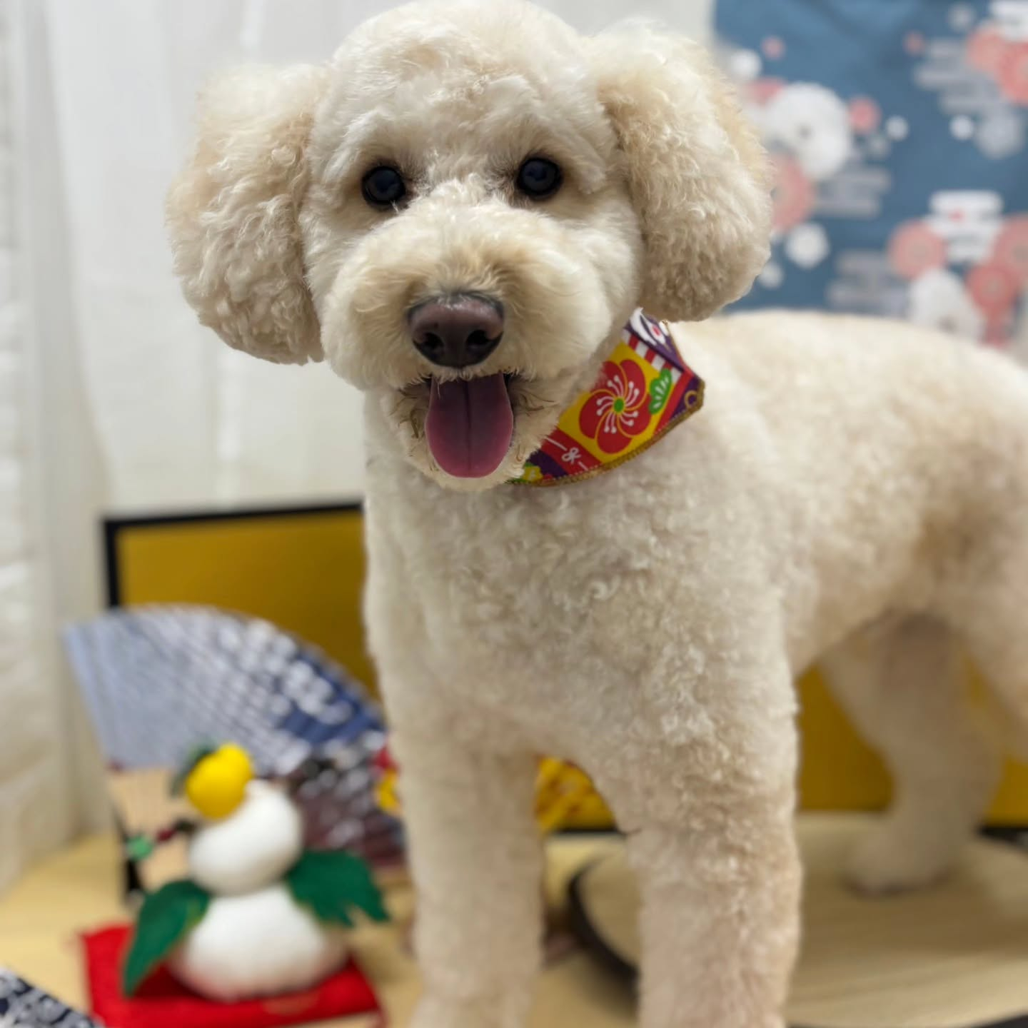 🐴🐴🐴🐴🐴🐴🐴🐴🐴