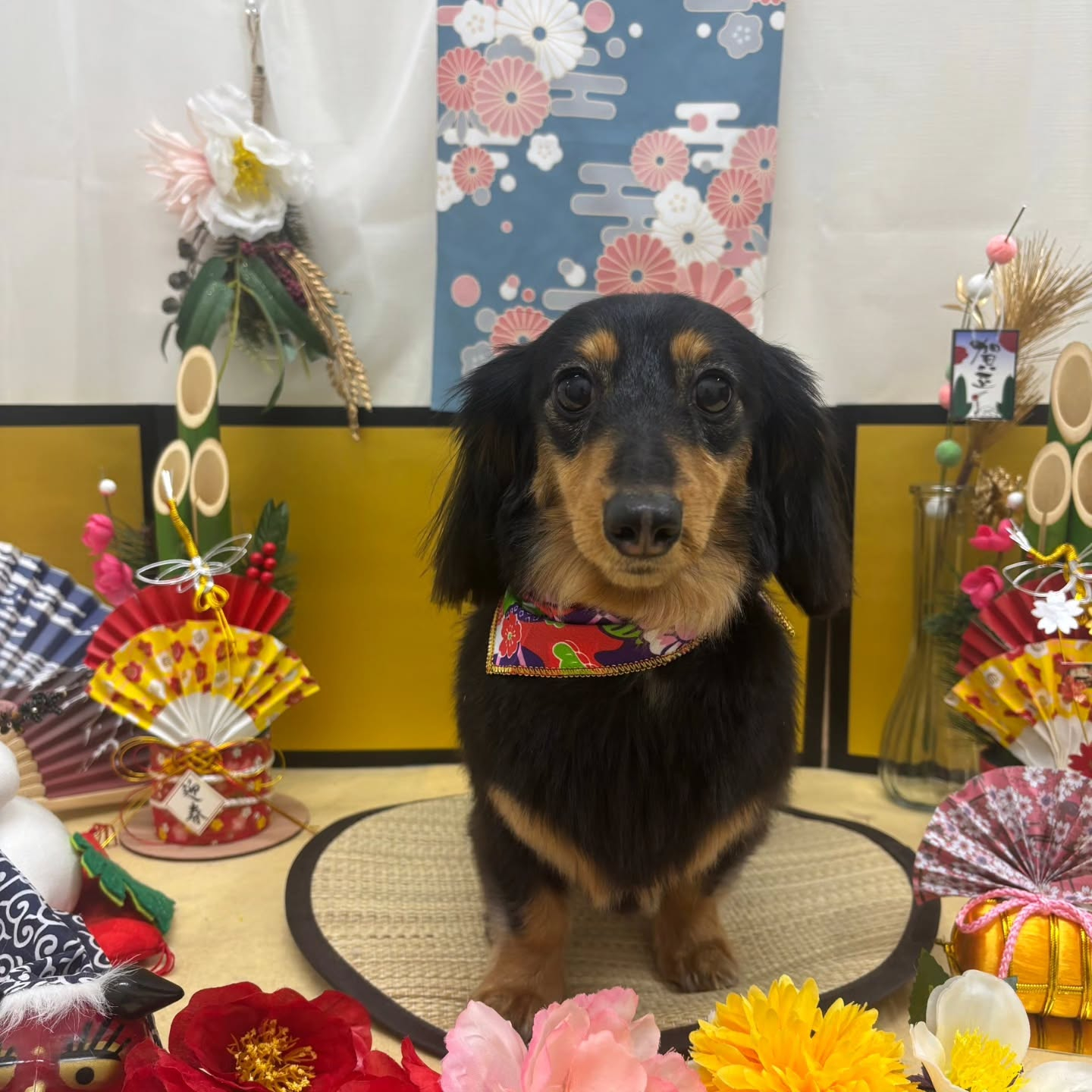 🐴🐴🐴🐴🐴🐴🐴🐴🐴🐴