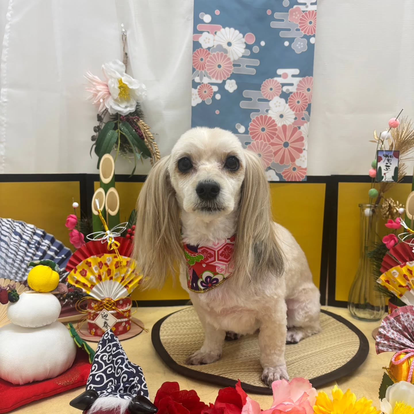 ๐ด๐ด๐ด๐ด๐ด๐ด๐ด๐ด๐ด๐ด