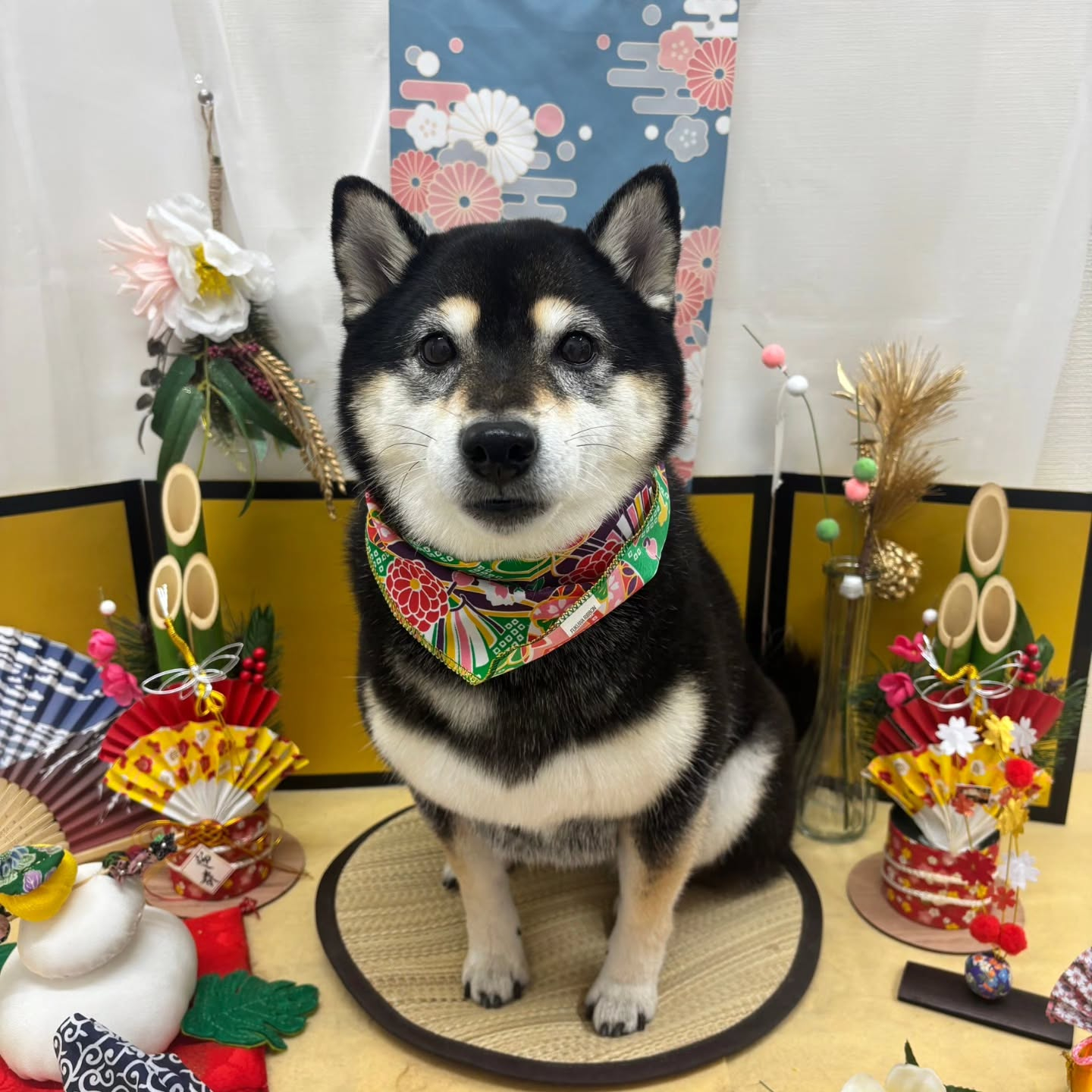 ๐ด๐ด๐ด๐ด๐ด๐ด๐ด๐ด๐ด๐ด