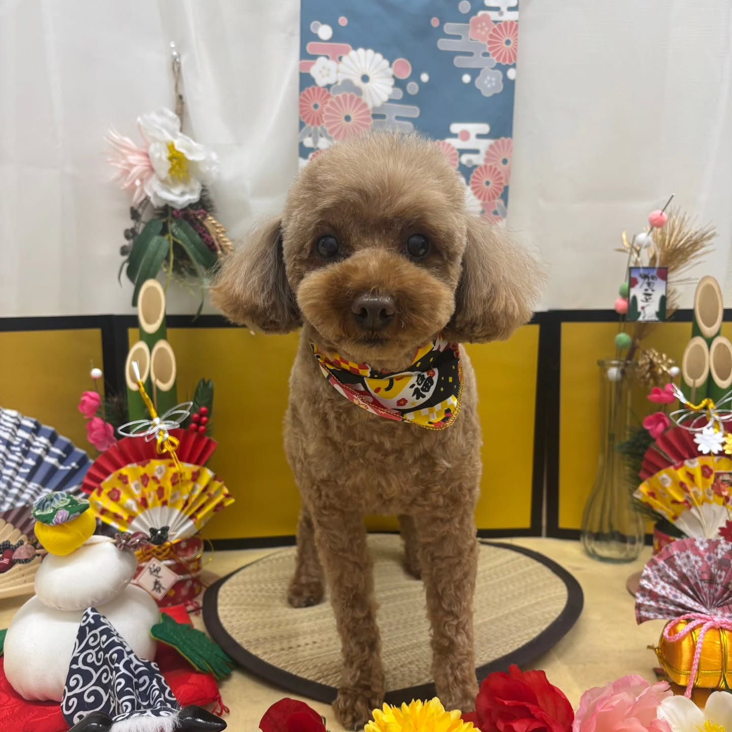 ๐ด๐ด๐ด๐ด๐ด๐ด๐ด๐ด๐ด๐ด