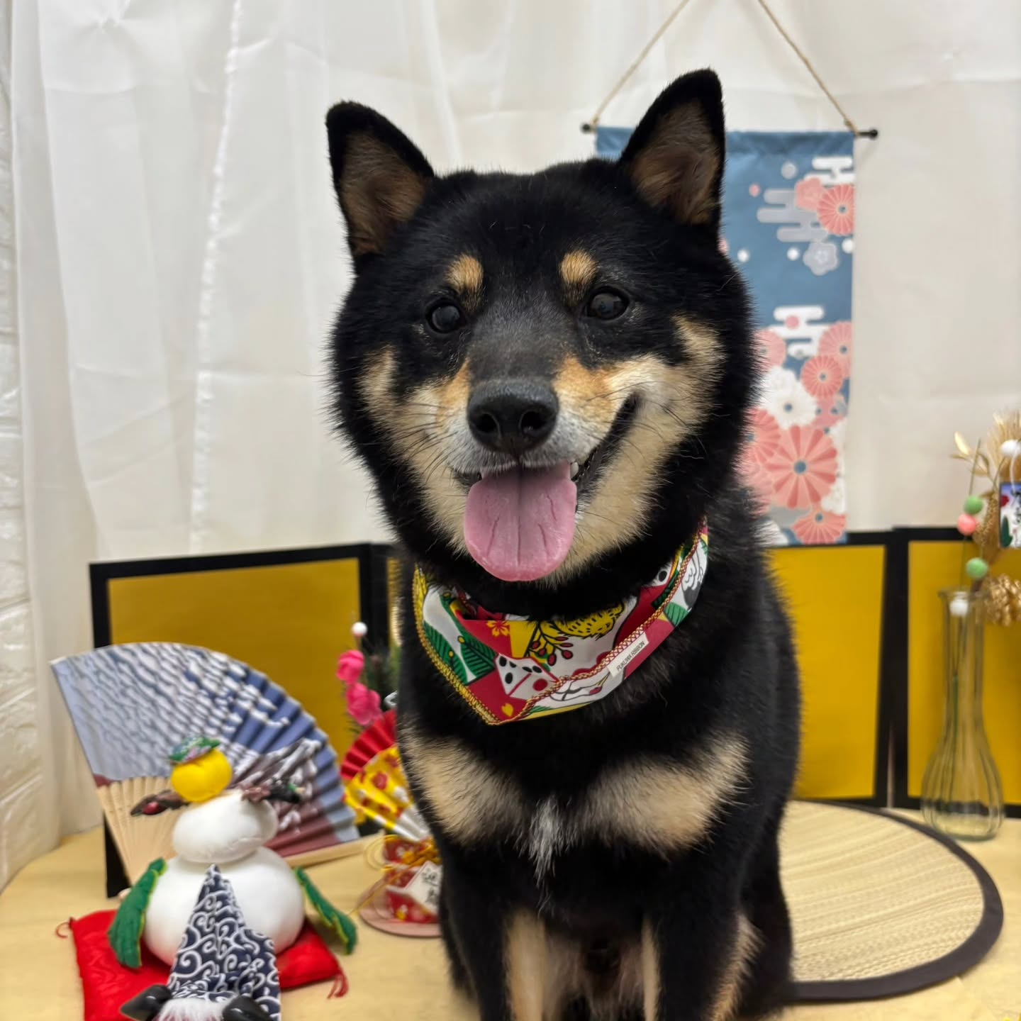 ๐ด๐ด๐ด๐ด๐ด๐ด๐ด๐ด๐ด๐ด