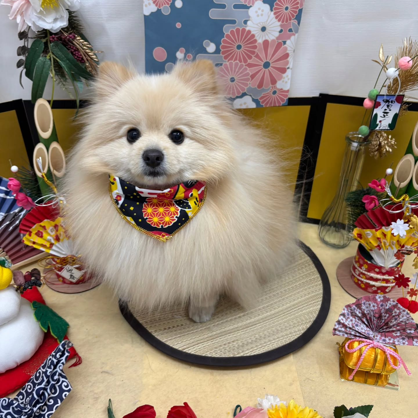 ๐ด๐ด๐ด๐ด๐ด๐ด๐ด๐ด๐ด๐ด