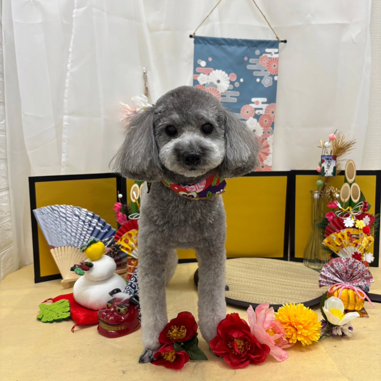 ๐ด๐ด๐ด๐ด๐ด๐ด๐ด๐ด๐ด๐ด