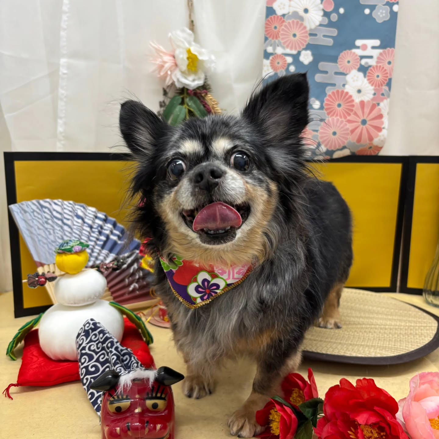 ๐ด๐ด๐ด๐ด๐ด๐ด๐ด๐ด๐ด๐ด