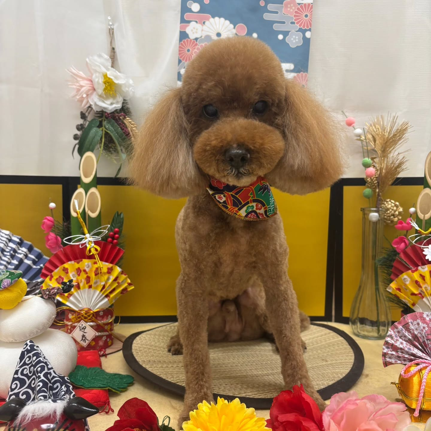 ๐ด๐ด๐ด๐ด๐ด๐ด๐ด๐ด๐ด๐ด