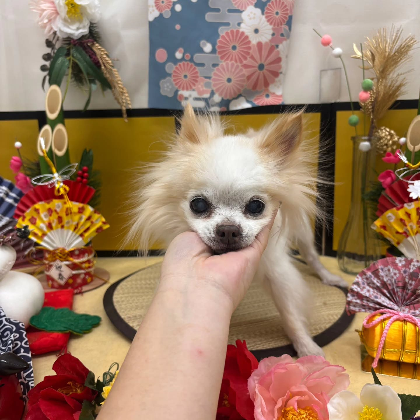 ๐ด๐ด๐ด๐ด๐ด๐ด๐ด๐ด๐ด๐ด