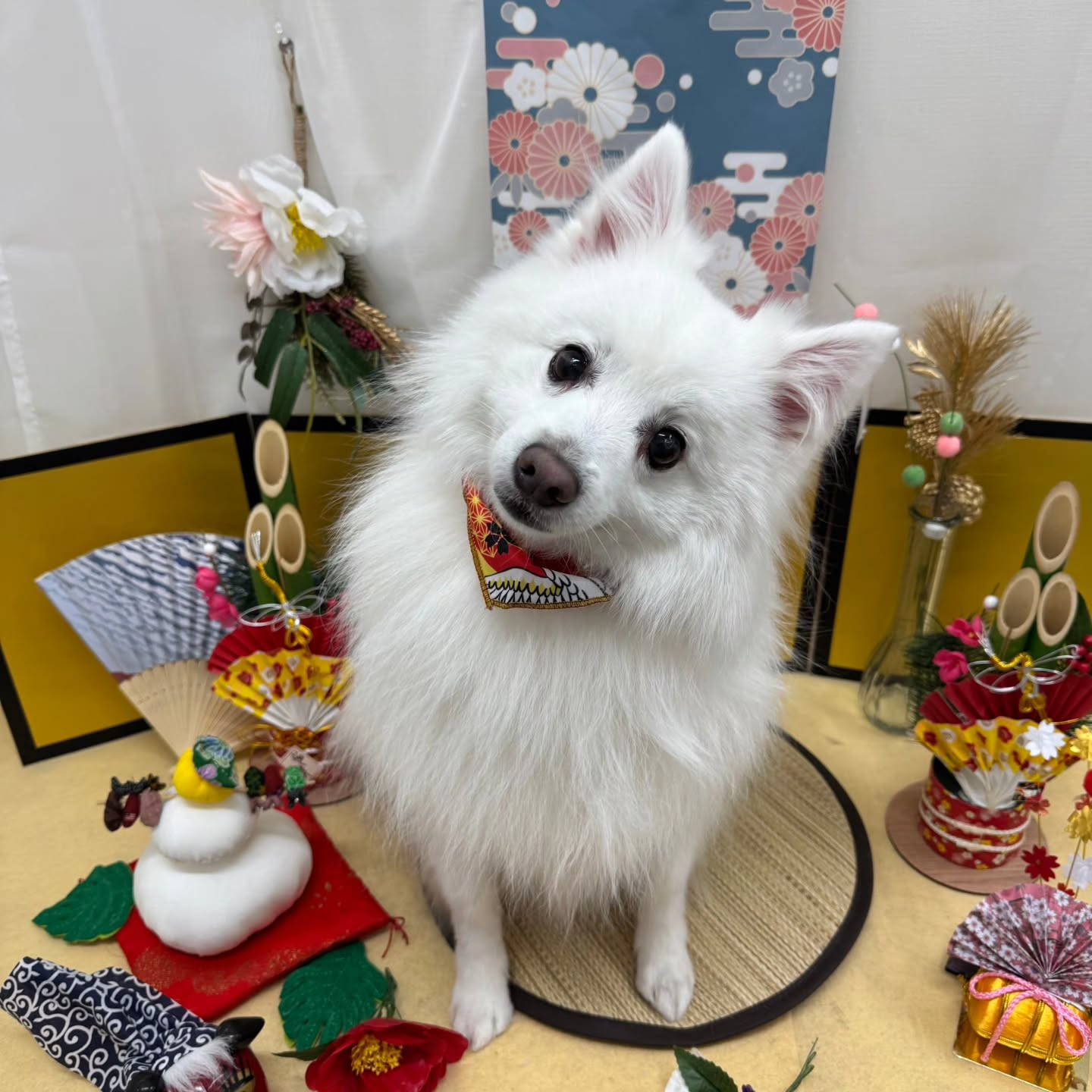 🐴🐴🐴🐴🐴🐴🐴⁡🐴⁡