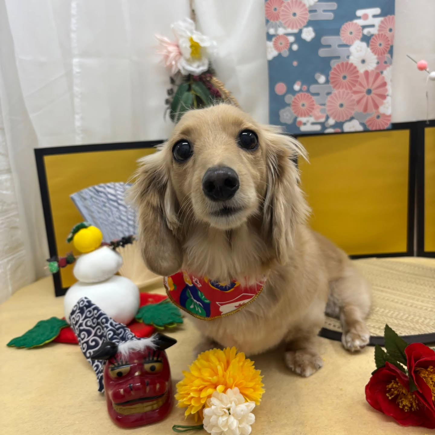 🐴🐴🐴🐴🐴🐴🐴⁡🐴⁡