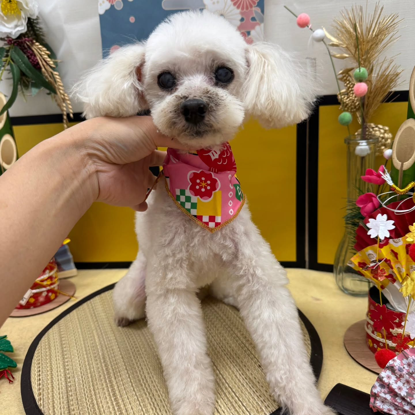 🐴🐴🐴🐴🐴🐴🐴⁡🐴⁡