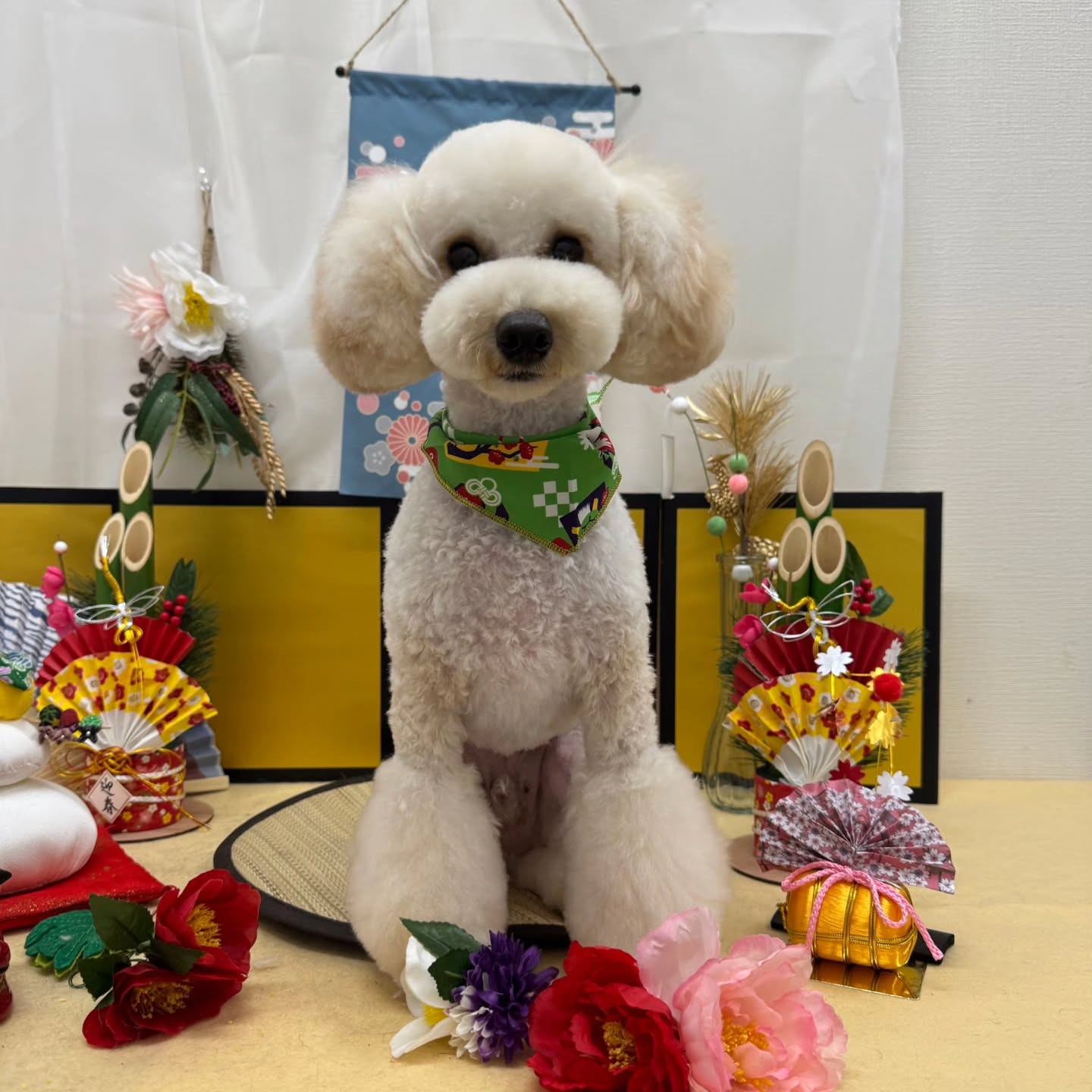 🐴🐴🐴🐴🐴🐴🐴⁡🐴⁡