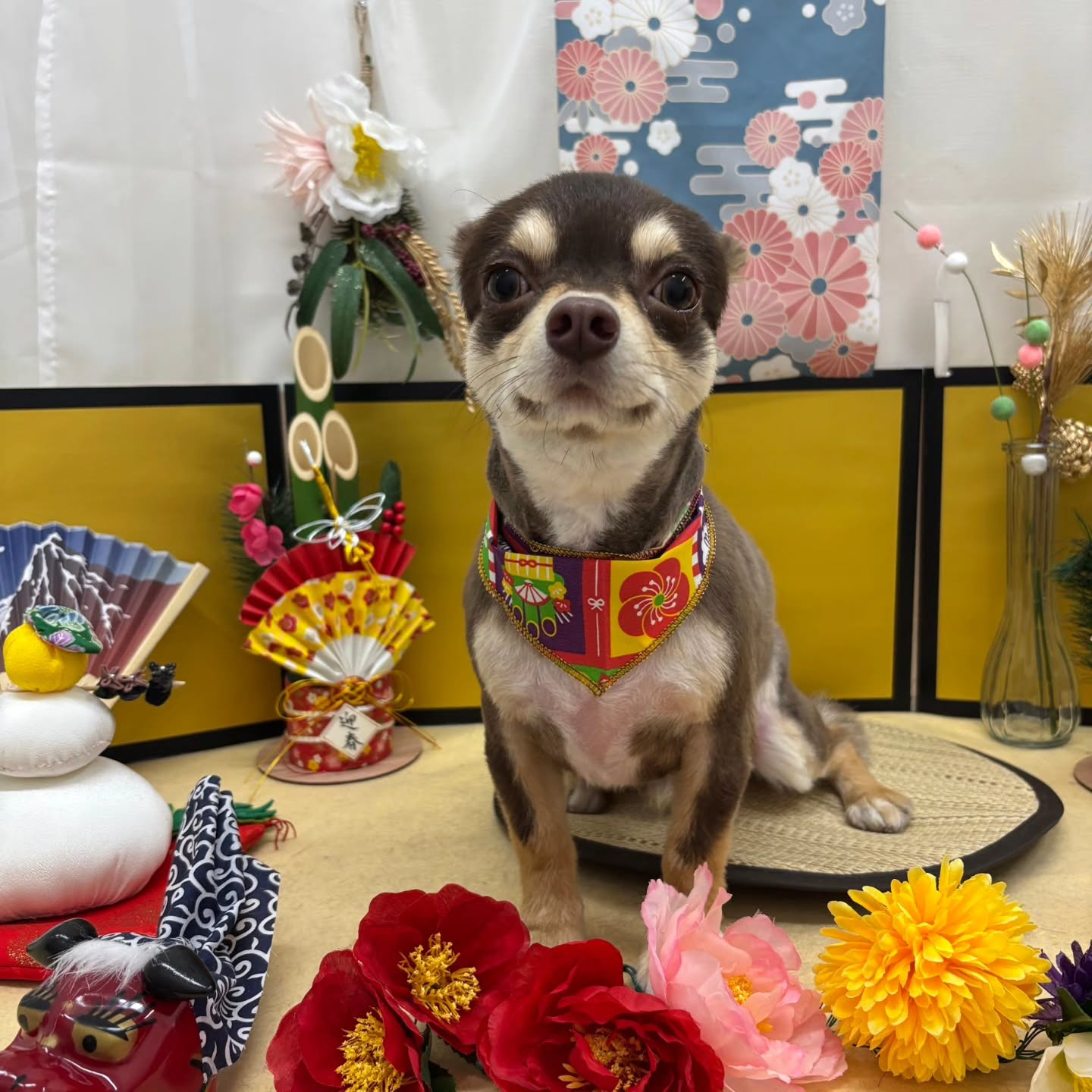 🐴🐴🐴🐴🐴🐴🐴⁡🐴⁡