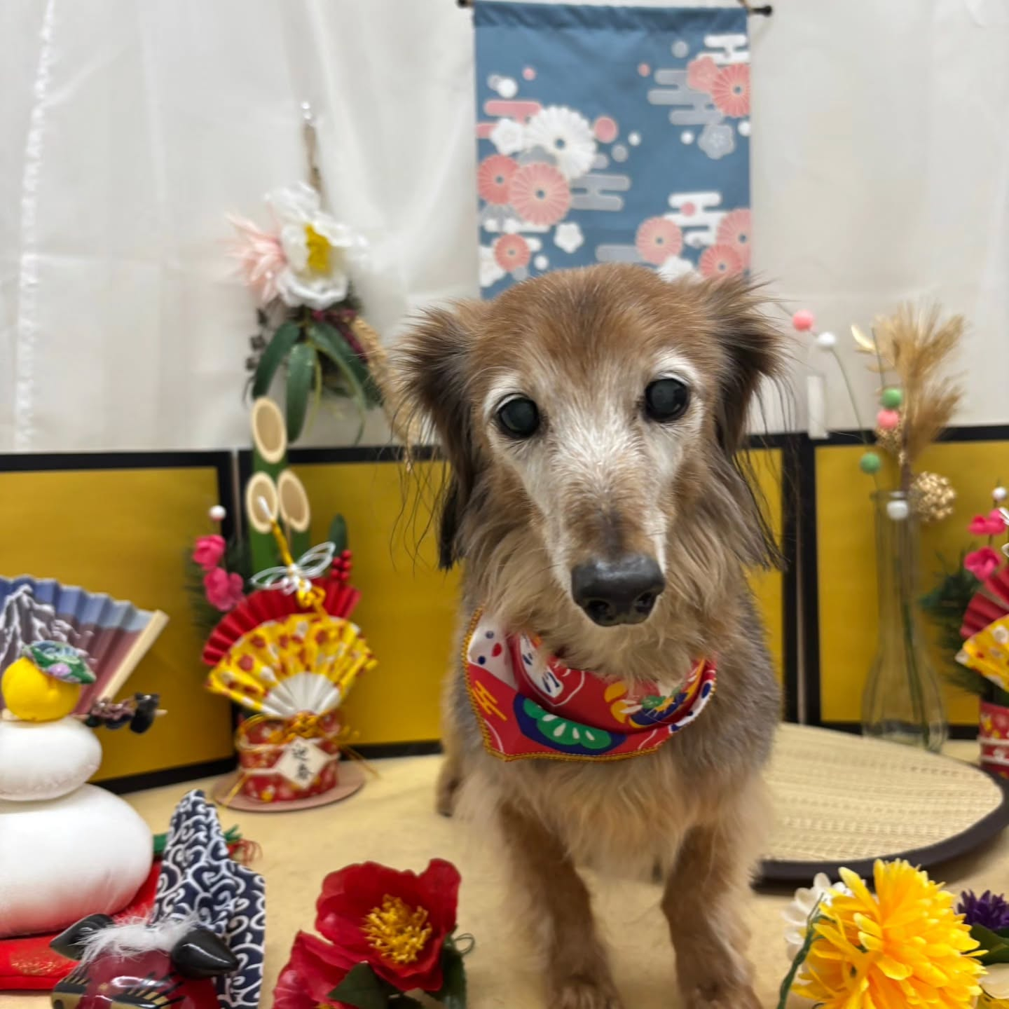 🐴🐴🐴🐴🐴🐴🐴⁡🐴⁡