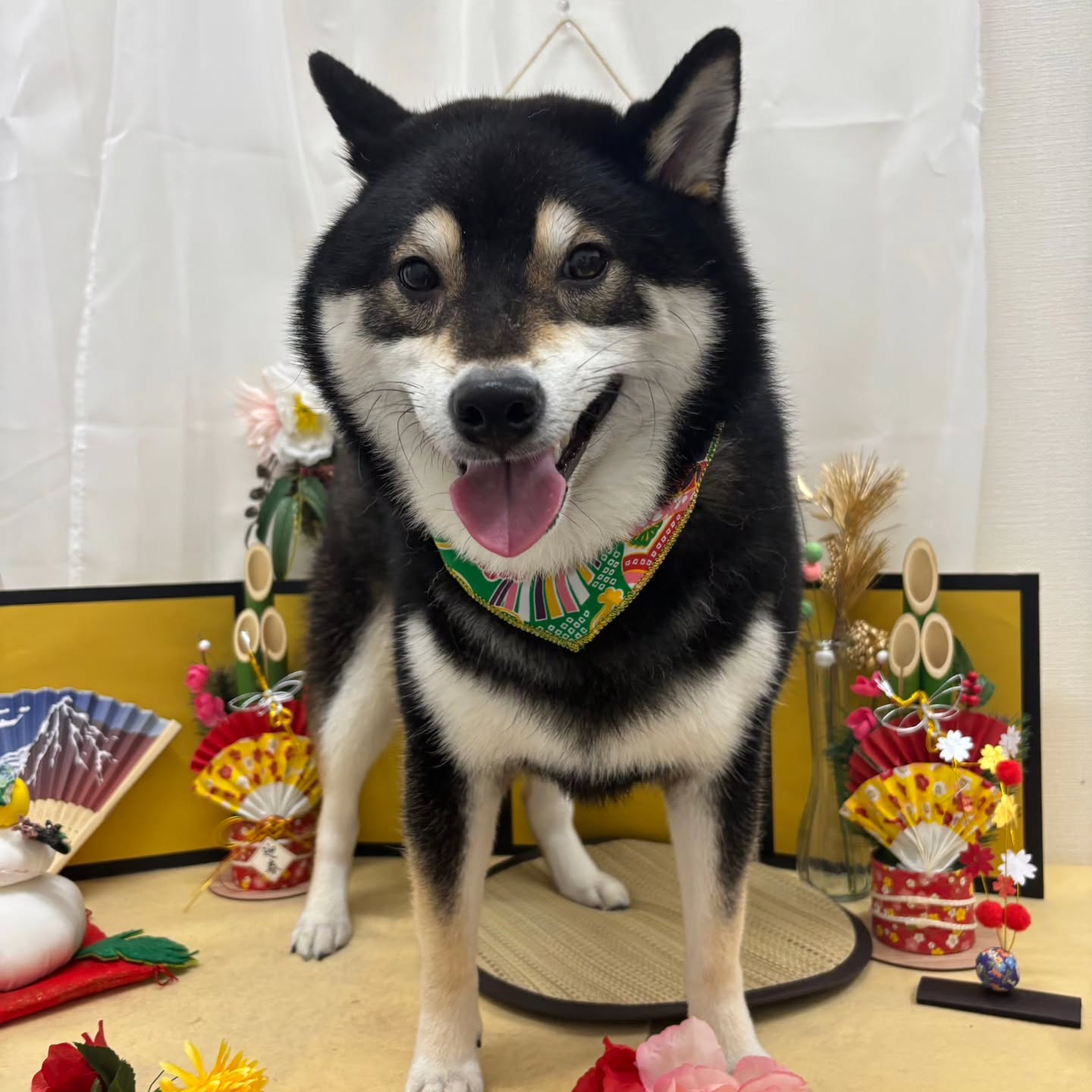 🐴🐴🐴🐴🐴🐴🐴⁡🐴⁡