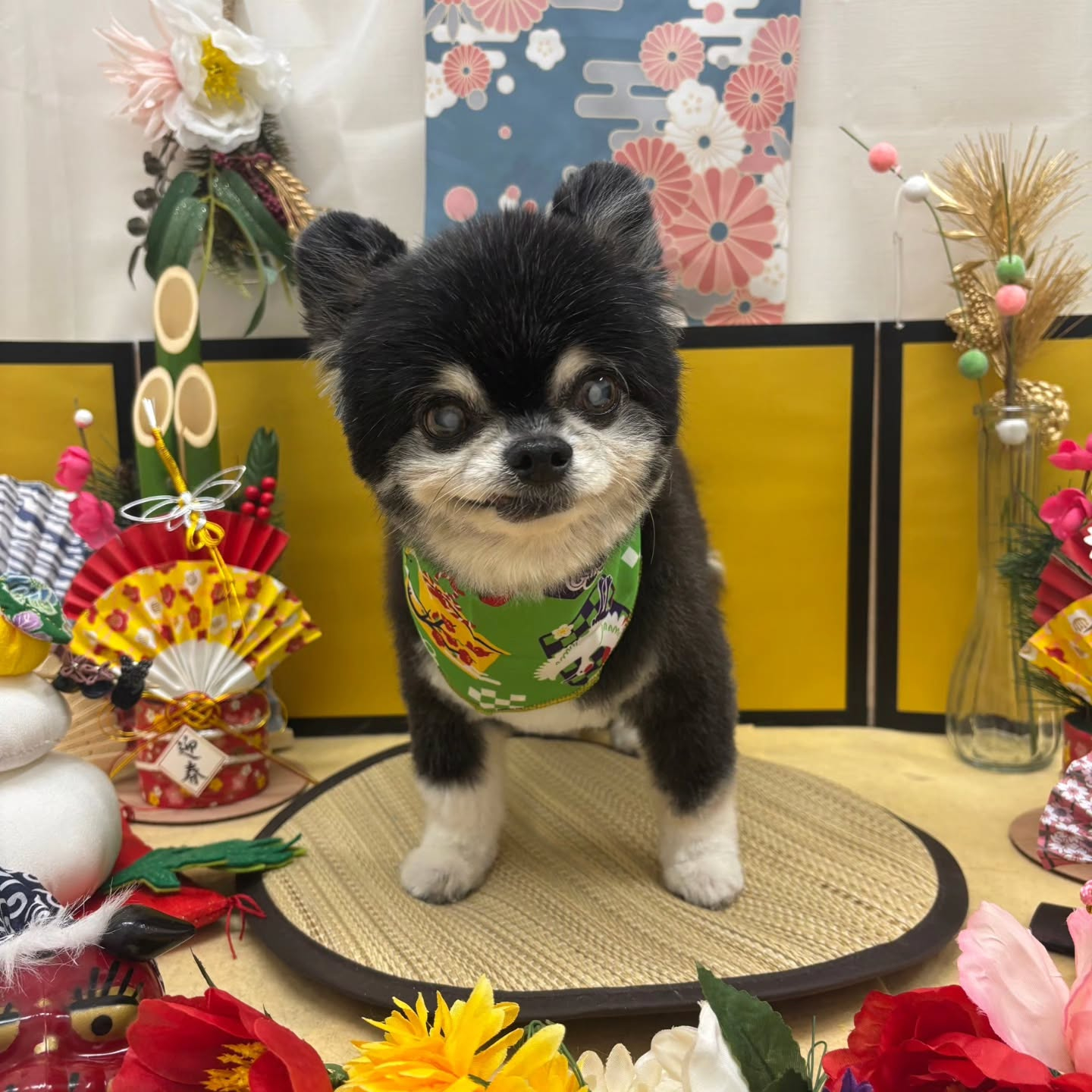 🐴🐴🐴🐴🐴🐴🐴⁡🐴⁡