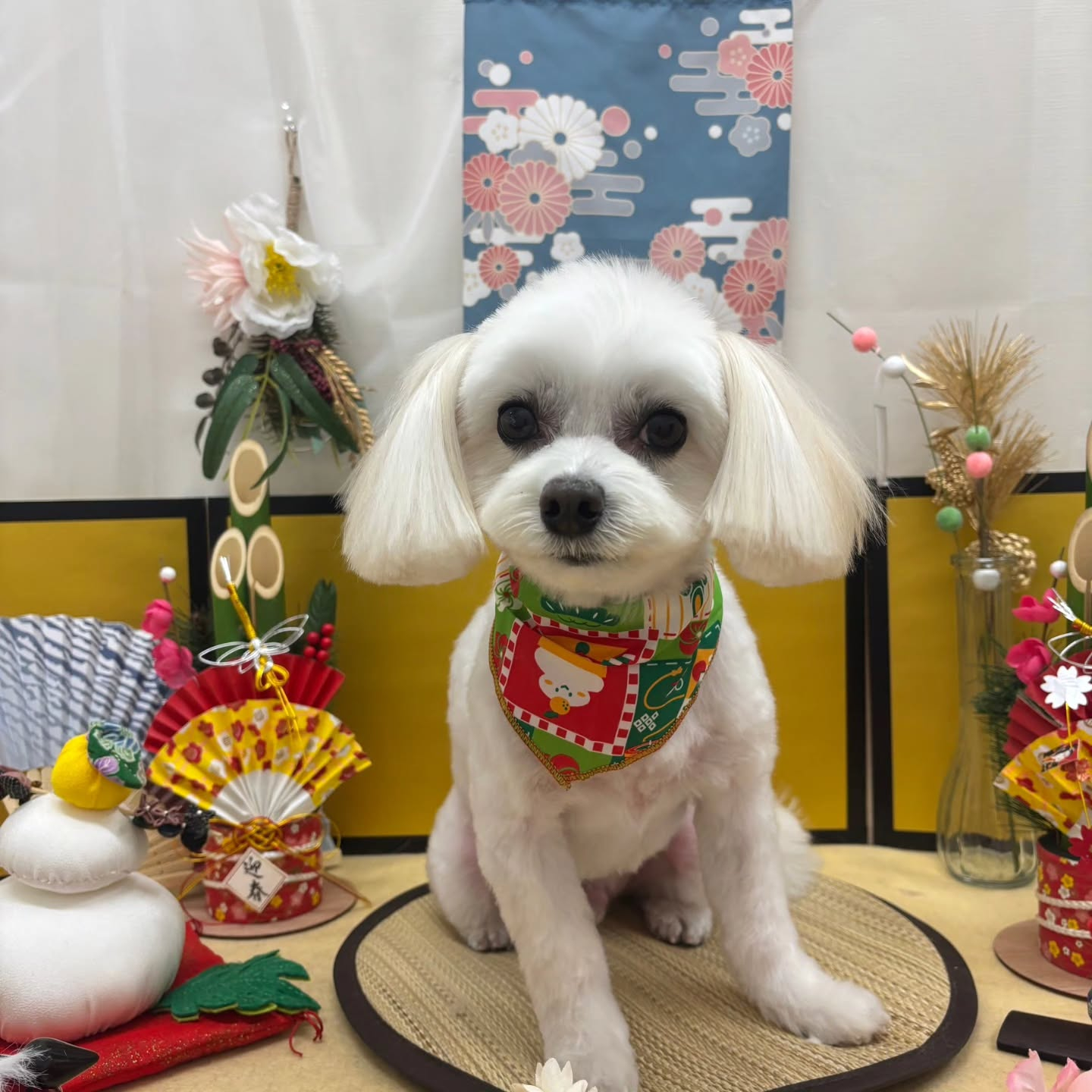 🐴🐴🐴🐴🐴🐴🐴⁡🐴⁡