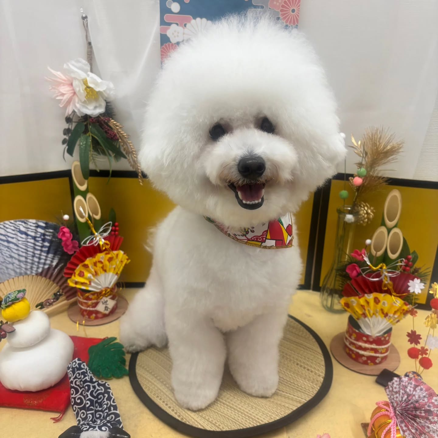 🐴🐴🐴🐴🐴🐴🐴⁡🐴⁡