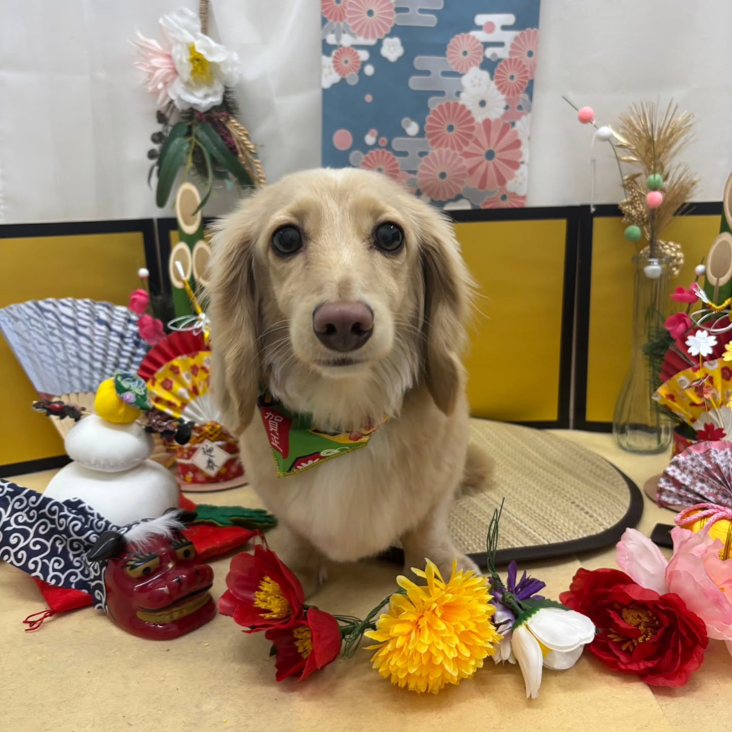 🐴🐴🐴🐴🐴🐴🐴⁡🐴⁡