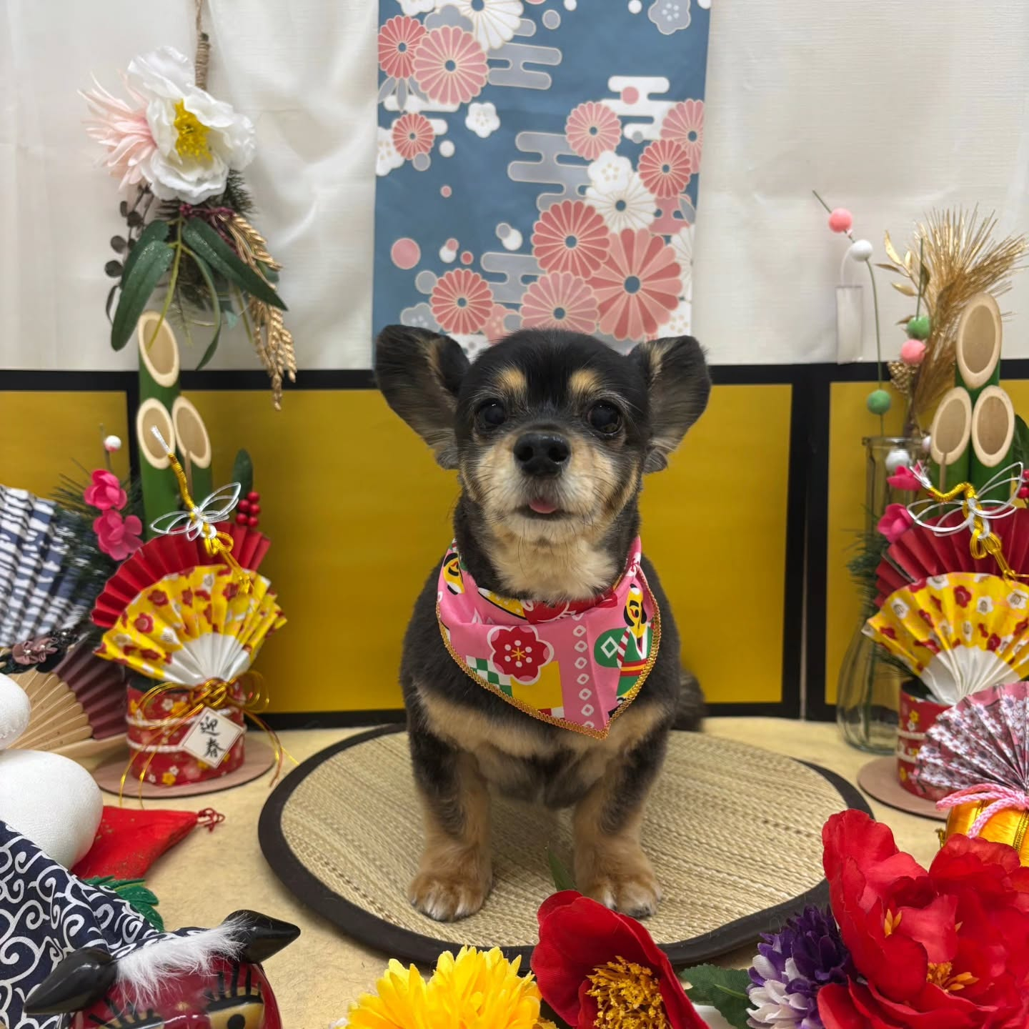 🐴🐴🐴🐴🐴🐴🐴⁡🐴⁡