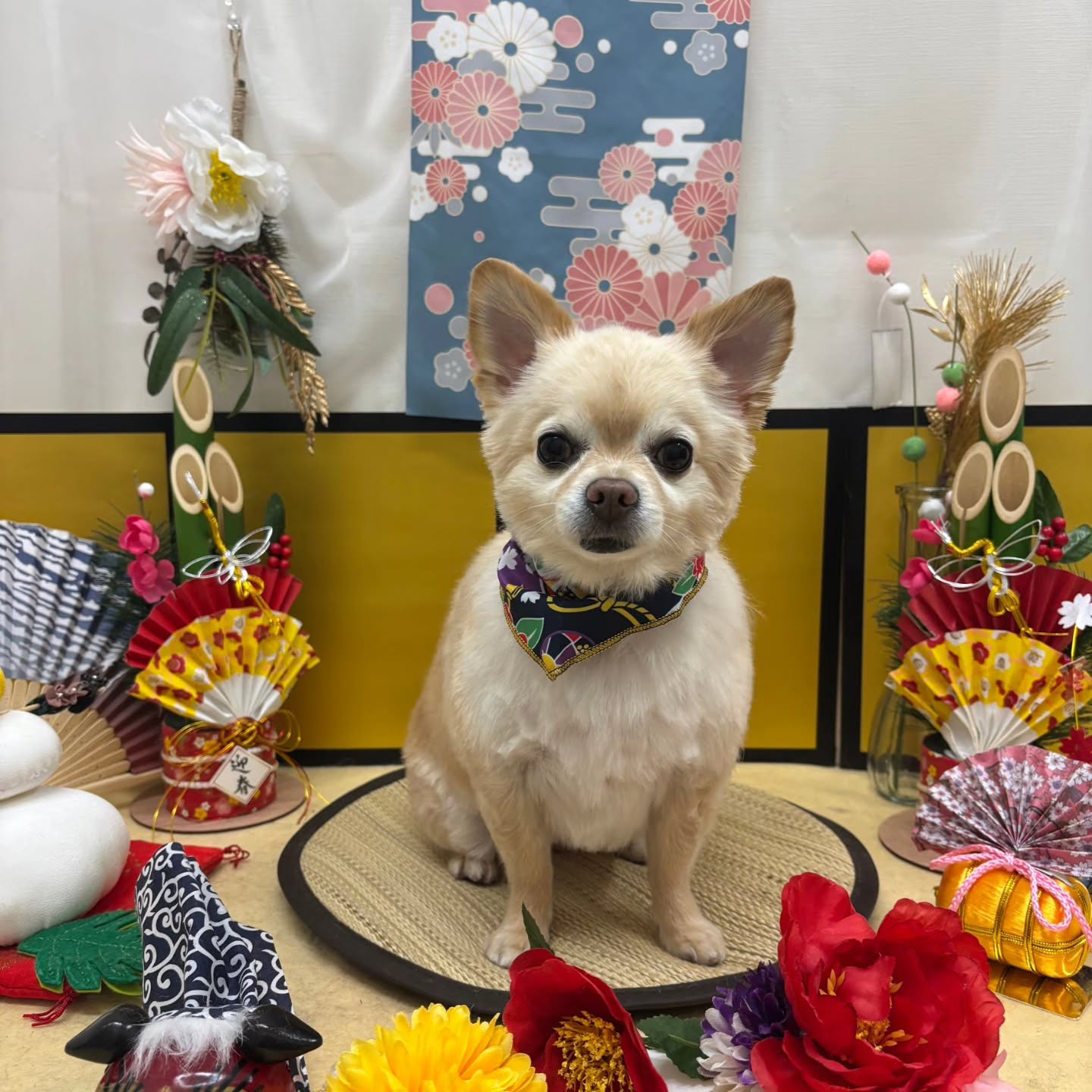 🐴🐴🐴🐴🐴🐴🐴⁡🐴⁡