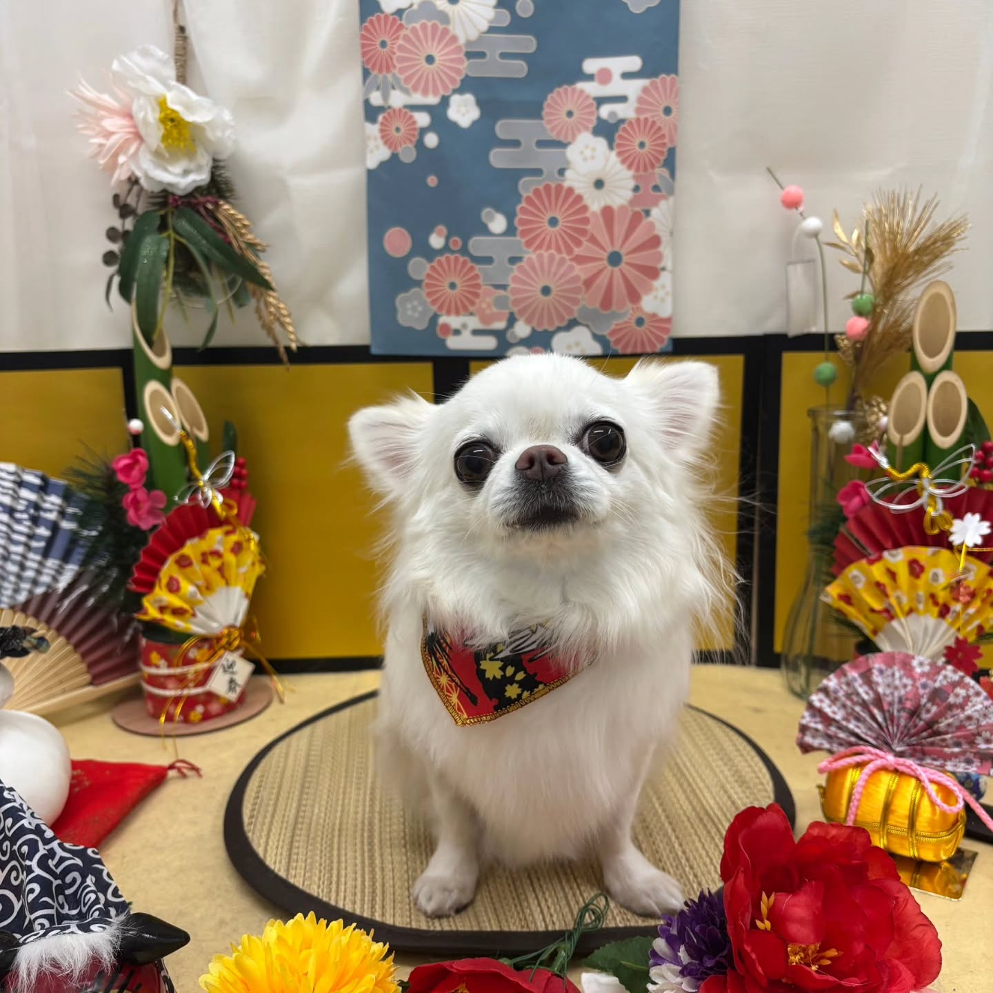 🐴🐴🐴🐴🐴🐴🐴⁡🐴⁡