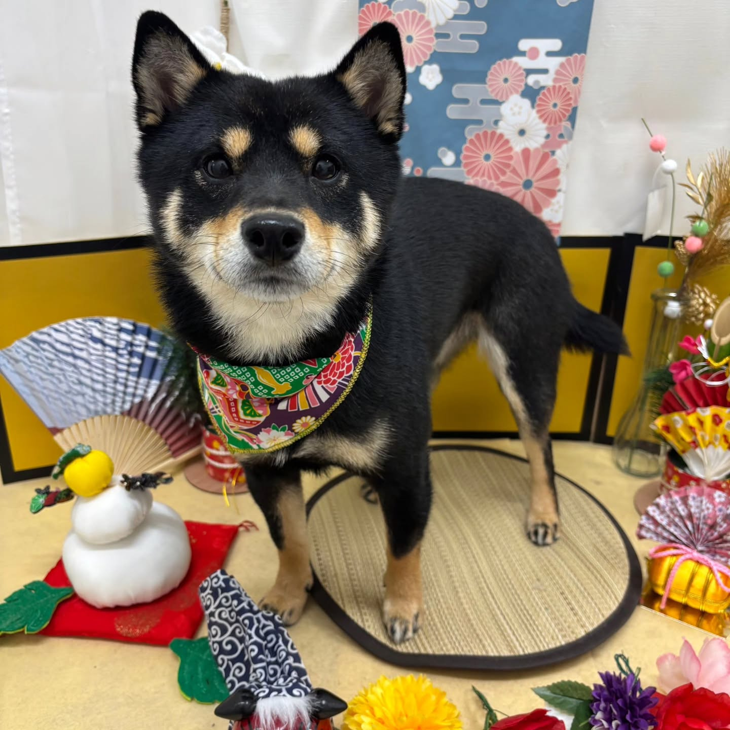 🐴🐴🐴🐴🐴🐴🐴⁡🐴⁡